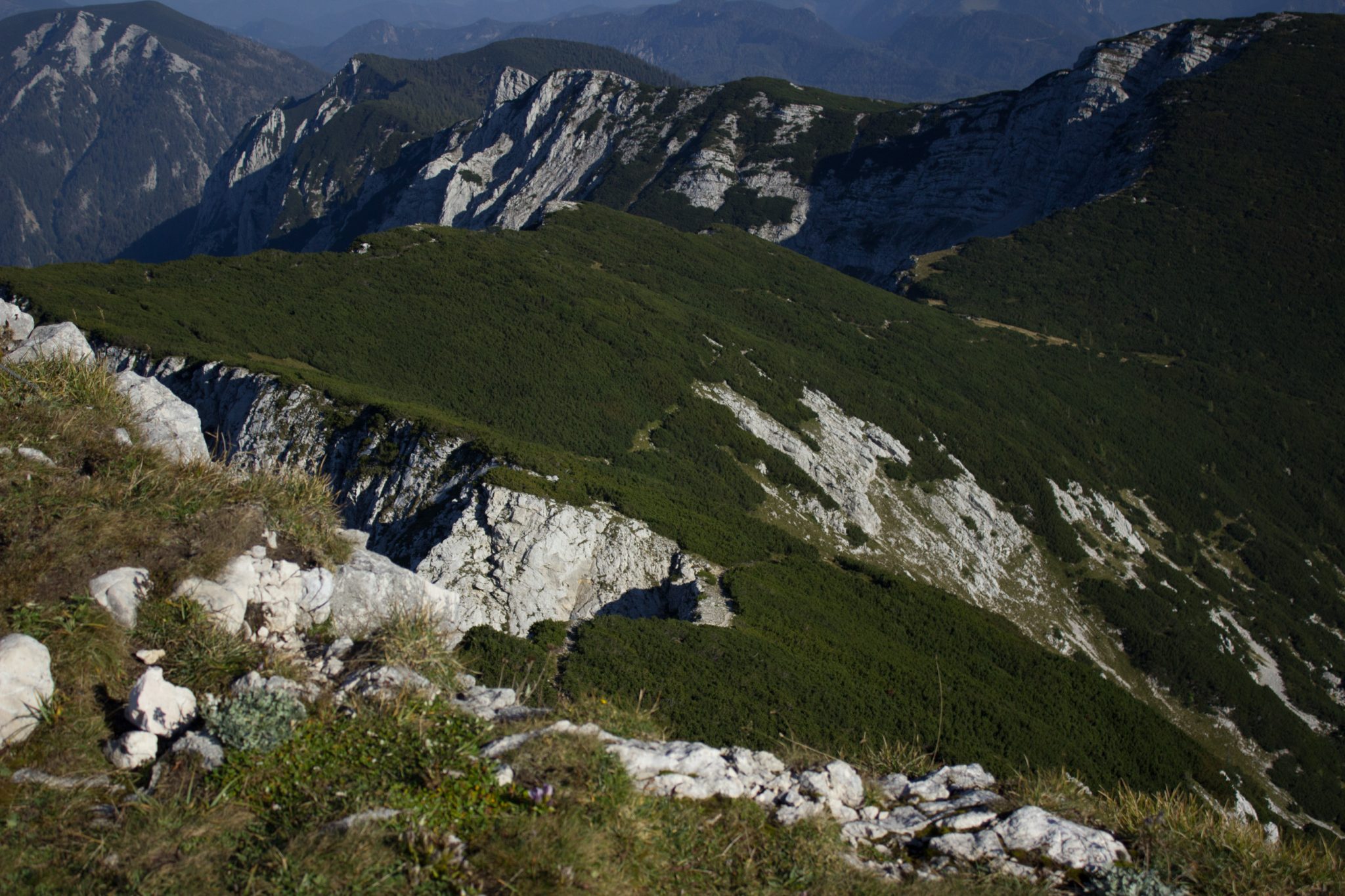 Wanderung Hoher Nock ab Windischgarsten im Nationalpark Kalkalpen in Oberösterreich, auf dem Berggipfel des Hohen Nocks angekommen, großes Plateau auf dem Gipfel, tolle weite Aussichten auf die umliegenden Berge der Kalkalpen in Österreich, Berge mit dichter Vegetation