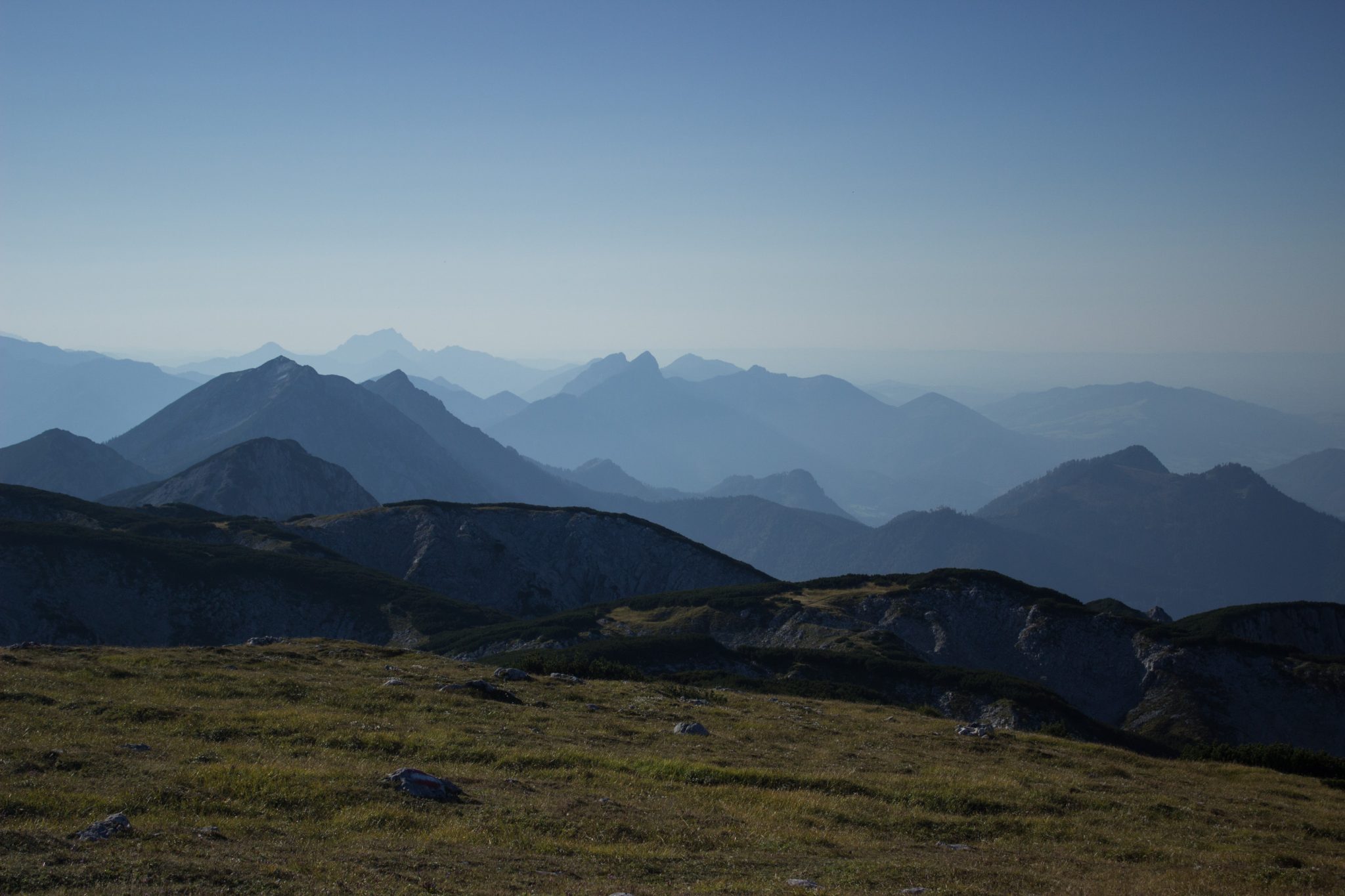 Wanderung Hoher Nock ab Windischgarsten im Nationalpark Kalkalpen in Oberösterreich, auf dem Berggipfel des Hohen Nocks angekommen, großes Plateau auf dem Gipfel, tolle weite Aussichten auf die umliegenden Berge der Kalkalpen in Österreich