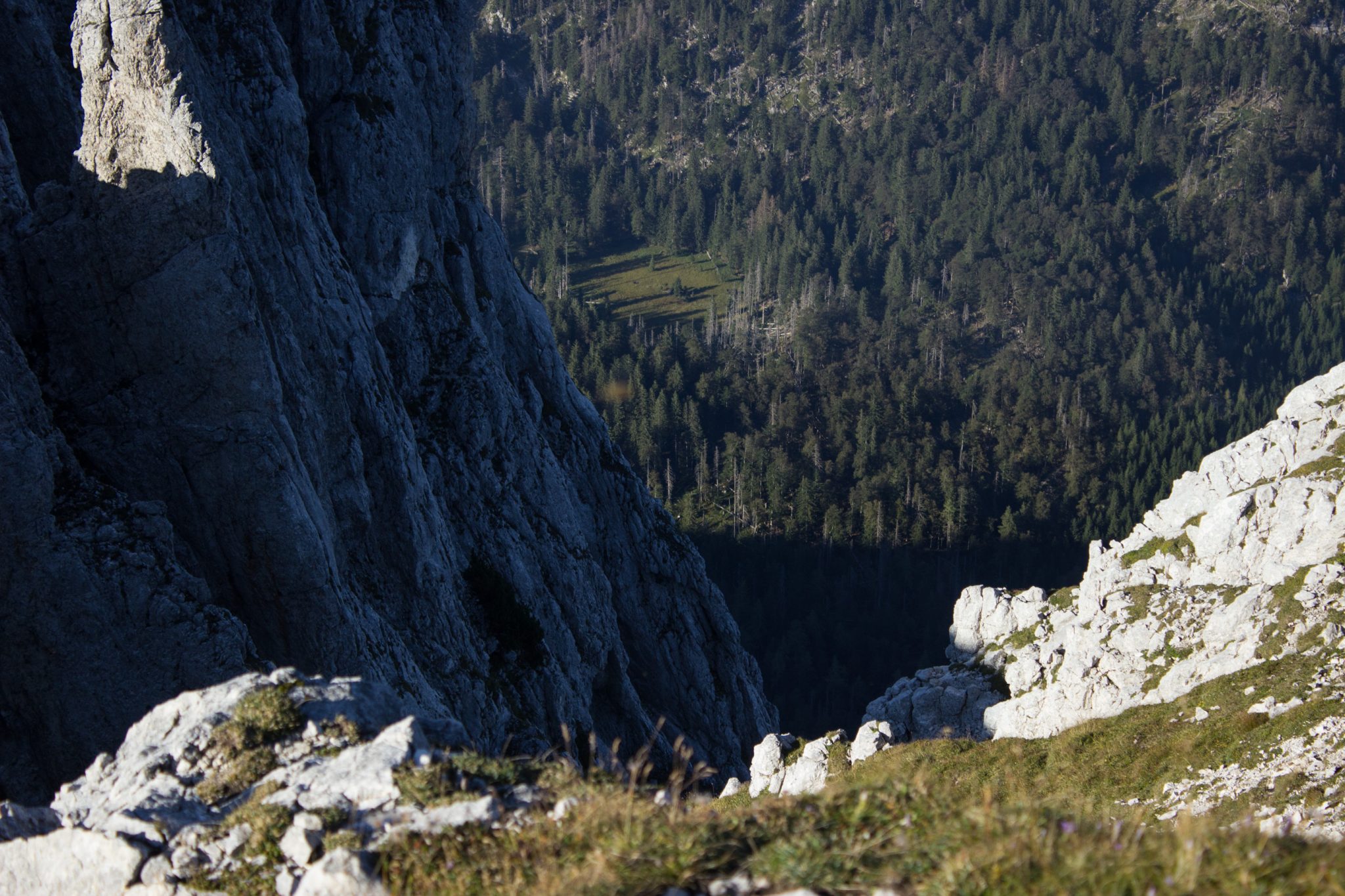 Wanderung Hoher Nock ab Windischgarsten im Nationalpark Kalkalpen in Oberösterreich, auf dem Berggipfel vom Hohen Nock angekommen mit ziemlich großer Gipfelebene, beeindruckender Blick auf die steil abfallenden Felswände vom Berg Hoher Nock, weite Aussichten bis runter ins Tal
