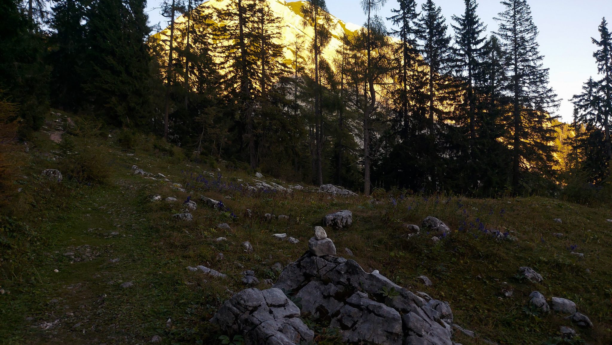 Wanderung Hoher Nock ab Windischgarsten im Nationalpark Kalkalpen in Oberösterreich, nahender Sonnenuntergang taucht die Berge in schönes Licht, auf dem Rückweg vom Berg Hoher Nock in Österreich, Aussicht auf Bäume und dahinterliegende Bergwelt, naturbelassener, sehr abwechslungsreicher Wanderweg