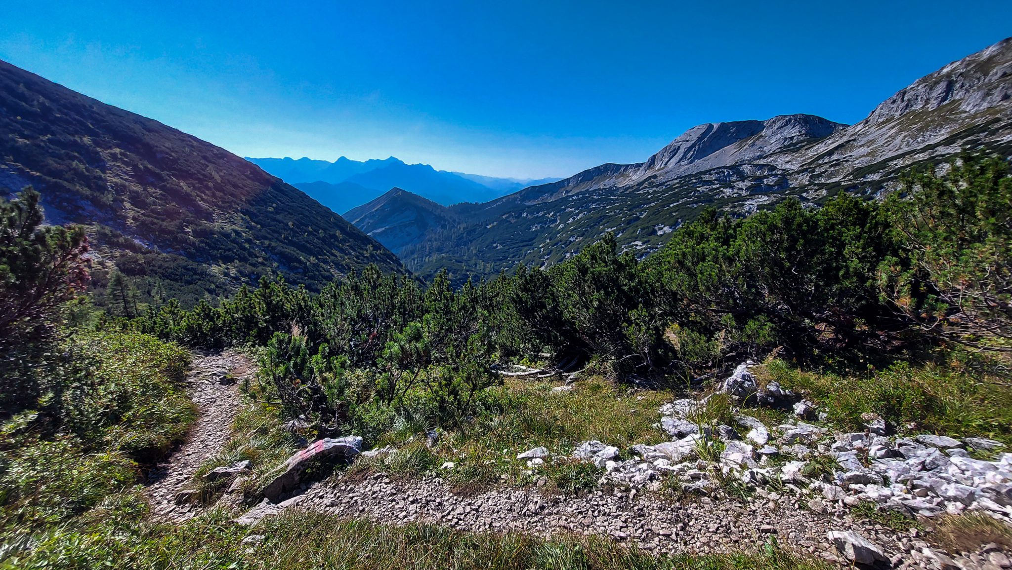 Wanderung Hoher Nock ab Windischgarsten im Nationalpark Kalkalpen in Oberösterreich, tolle weite Aussichten auf die umliegenden Berge der Kalkalpen in Österreich, unterwegs auf schmalem, naturbelassenen Wanderweg, Wegmarkierung am Stein