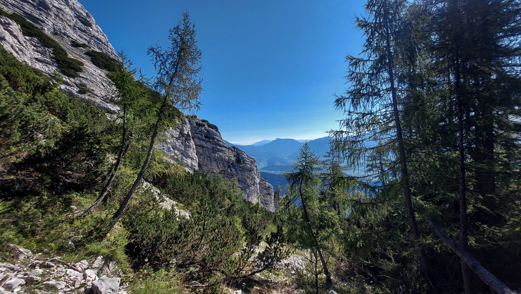 Wanderung Hoher Nock ab Windischgarsten im Nationalpark Kalkalpen in Oberösterreich, dichter Wald mit kühlendem Schatten lichtet sich zunehmend, schöner Wanderweg über Stock und Stein, häufig weite Aussicht auf die umliegenden Berge