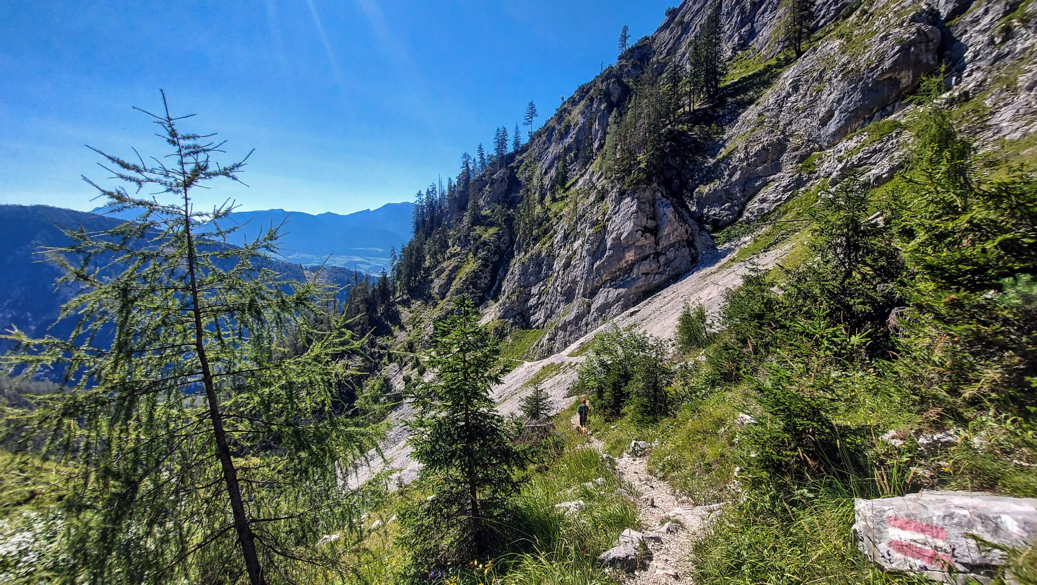 Wanderung Hoher Nock ab Windischgarsten im Nationalpark Kalkalpen in Oberösterreich, nach Abschnitt durch Wald windet sich der schmale Pfad am Berghang entlang, tolle Aussichten auf die Berge, Wanderer unterwegs auf schmalem Wanderweg, Wegmarkierung am Stein
