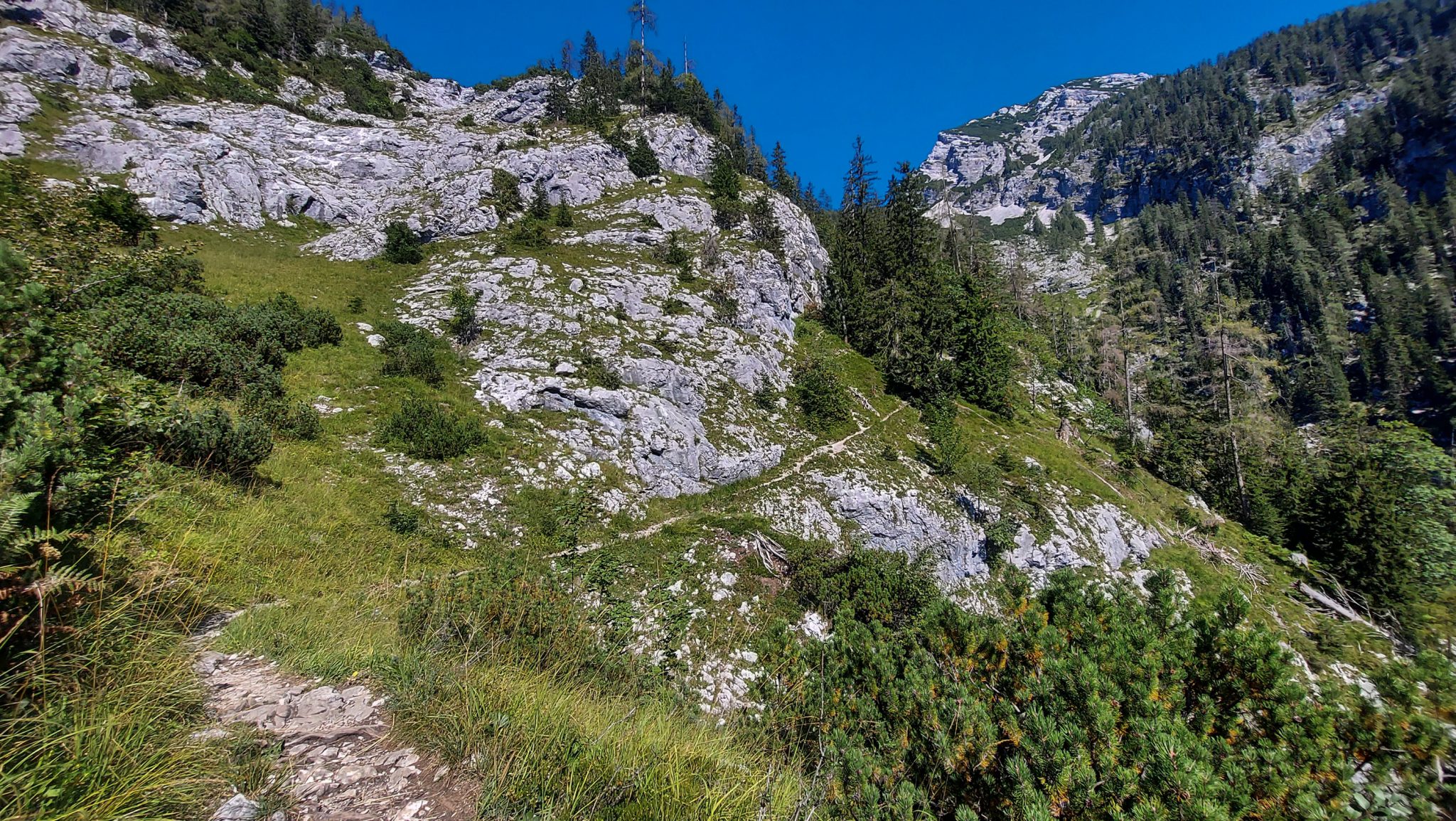 Wanderung Hoher Nock ab Windischgarsten im Nationalpark Kalkalpen in Oberösterreich, nach Abschnitt durch Wald windet sich der schmale Pfad am Berghang entlang, tolle Aussichten auf die Berge