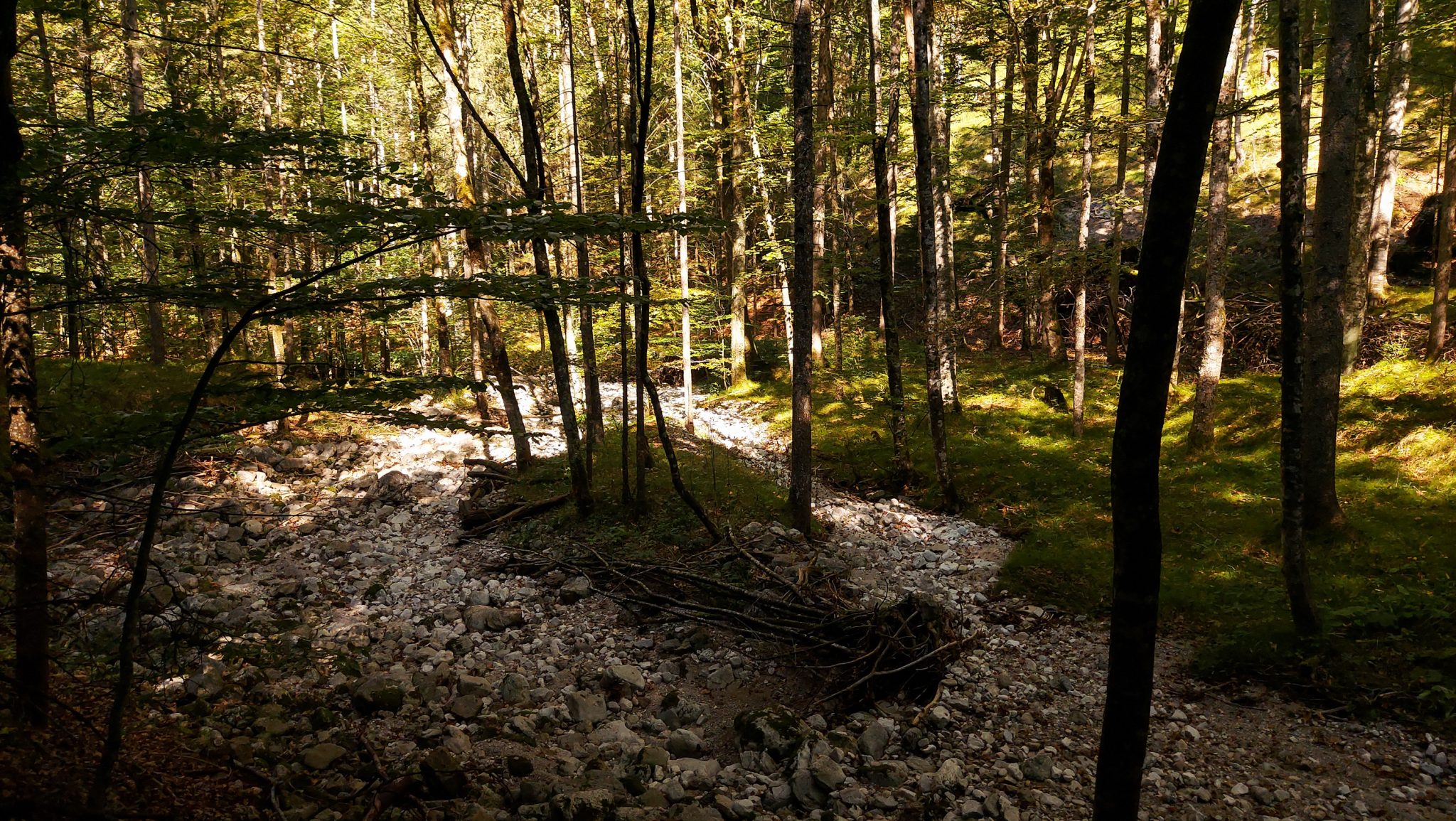 Wanderung Hoher Nock ab Windischgarsten im Nationalpark Kalkalpen in Oberösterreich, nach Start der Wanderung im Rettenbachtal befindet man sich unmittelbar im dichten Wald mit kühlendem Schatten, Blick auf ausgetrocknetes Flussbett