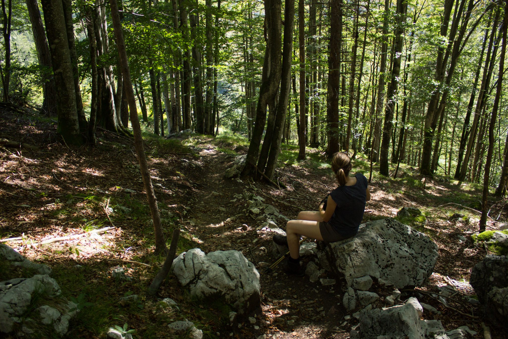 Wanderung Hoher Nock ab Windischgarsten im Nationalpark Kalkalpen in Oberösterreich, nach Start der Wanderung im Rettenbachtal befindet man sich unmittelbar im dichten Wald mit kühlendem Schatten, Wanderweg führt ziemlich steil bergauf, Wanderer macht Pause auf einem Stein