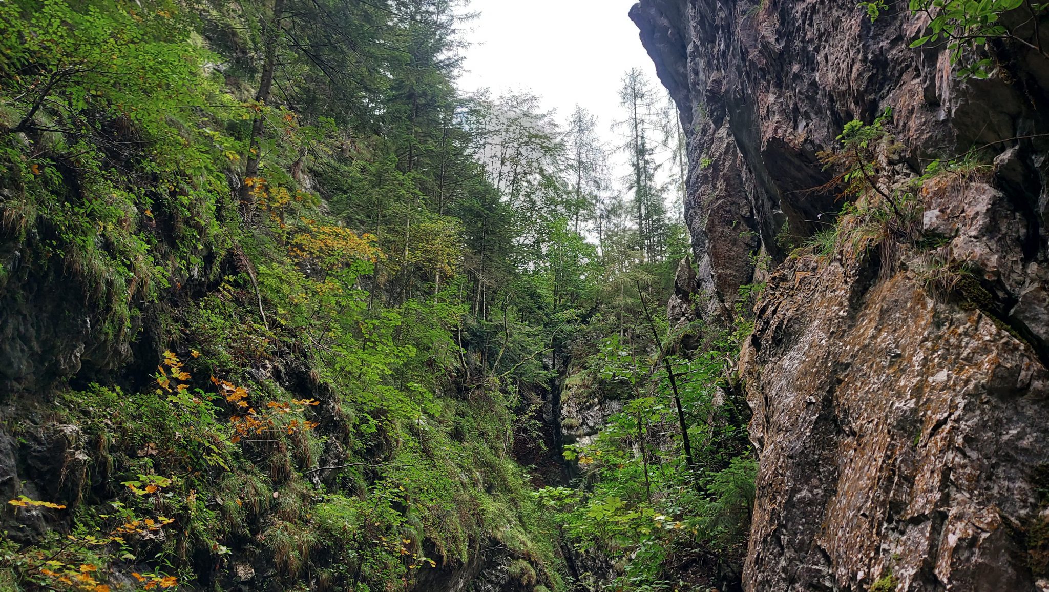 Dr. Vogelgesang-Klamm mit 3 Hütten Wanderung - Bosruckhütte, Rohrauerhaus und Hofalm bei Spital am Pyhrn in Oberösterreich, angelegter Wanderweg durch die Klamm ist umgeben von hohen Felswänden und dichter Vegetation