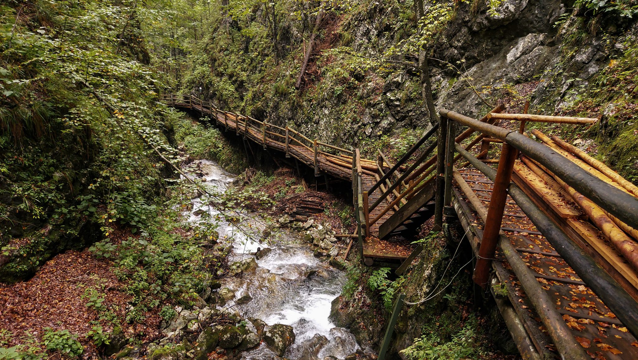 Dr. Vogelgesang-Klamm mit 3 Hütten Wanderung - Bosruckhütte, Rohrauerhaus und Hofalm bei Spital am Pyhrn in Oberösterreich, angelegter Holzweg durch die Klamm entlang des Klammbaches, umgeben von dichter Vegetation