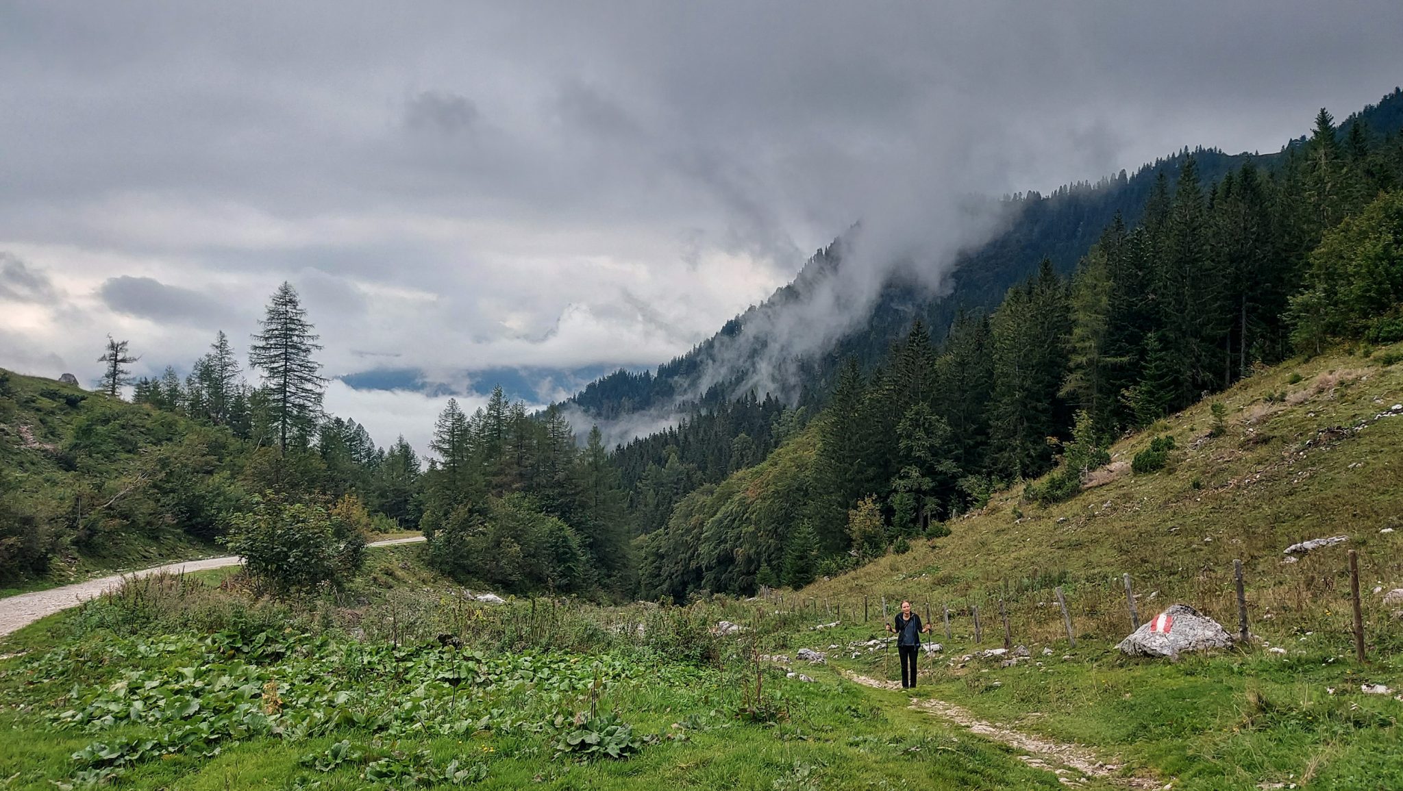 Dr. Vogelgesang-Klamm mit 3 Hütten Wanderung - Bosruckhütte, Rohrauerhaus und Hofalm bei Spital am Pyhrn in Oberösterreich, der Wanderweg der 3 Hütten Wanderung führt mäßig ansteigend aufwärts, Wanderer steht auf weiter Ebene mit grüner Wiese, weite Ausblicke auf die umliegenden Wälder