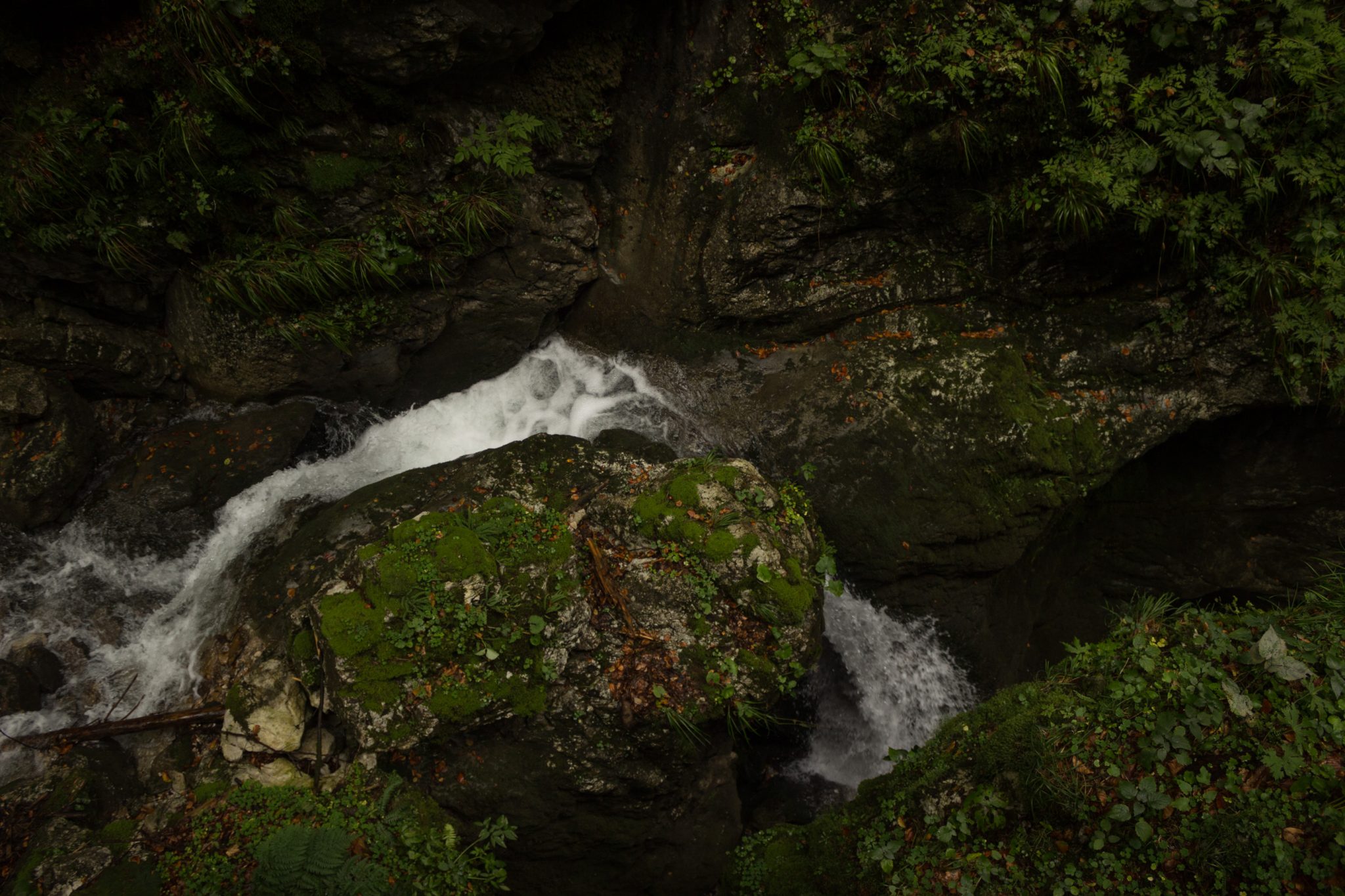Dr. Vogelgesang-Klamm mit 3 Hütten Wanderung - Bosruckhütte, Rohrauerhaus und Hofalm bei Spital am Pyhrn in Oberösterreich, Blick auf den Klammbach von dichter Vegetation umgeben, klarer Gebirgsbach
