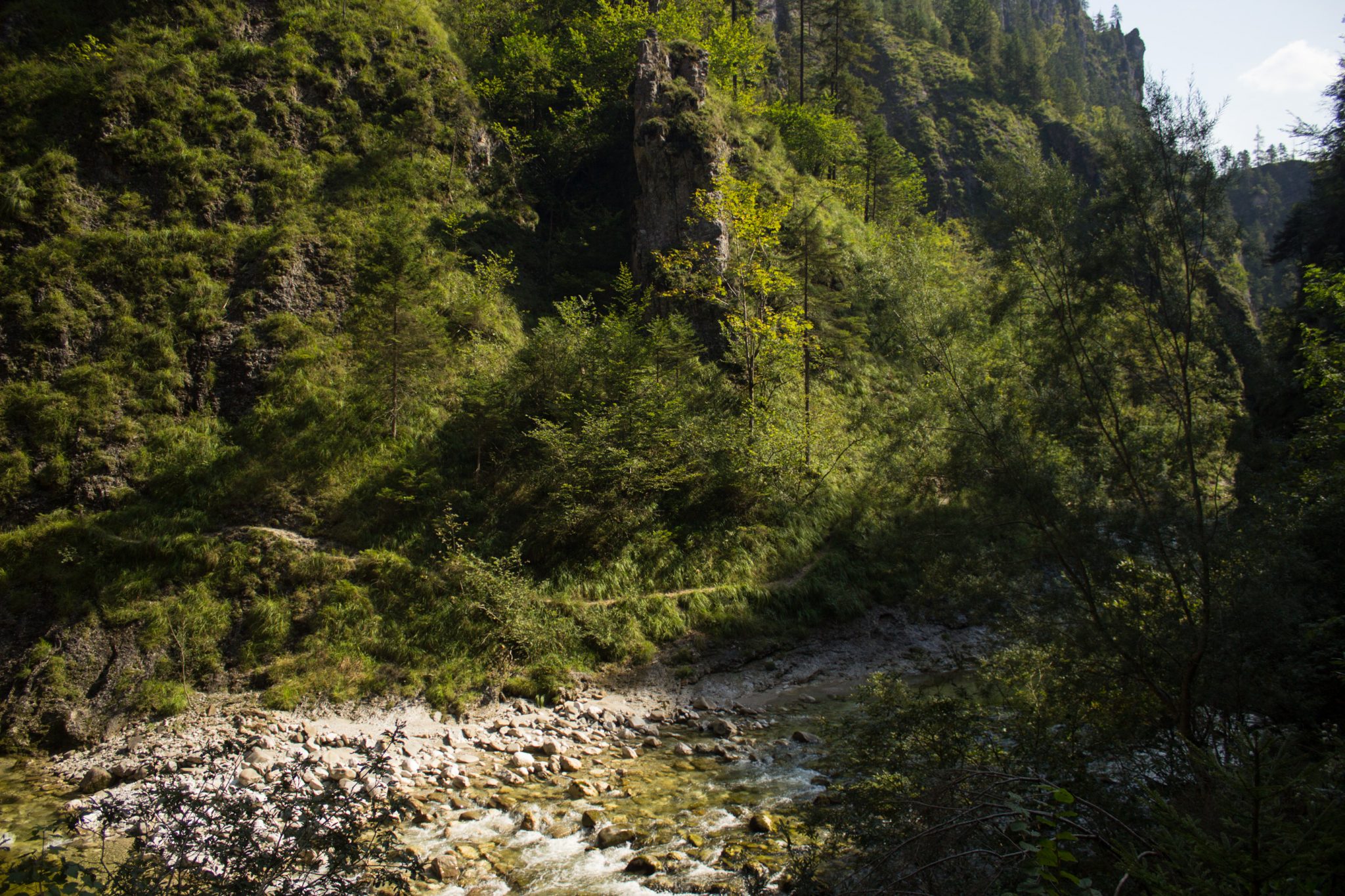 Wandern zur Anlaufalm im Reichraminger Hintergebirge vom Parkplatz Weißwasser durch die Große Schlucht entlang des Baches Weißwasser im Nationalpark Kalkalpen in Oberösterreich, Wanderweg entlang des Baches Weißwasser, Schlucht umgeben von dichtem und sattgrünem Wald, Wasser des Baches ist sehr sauber und klar