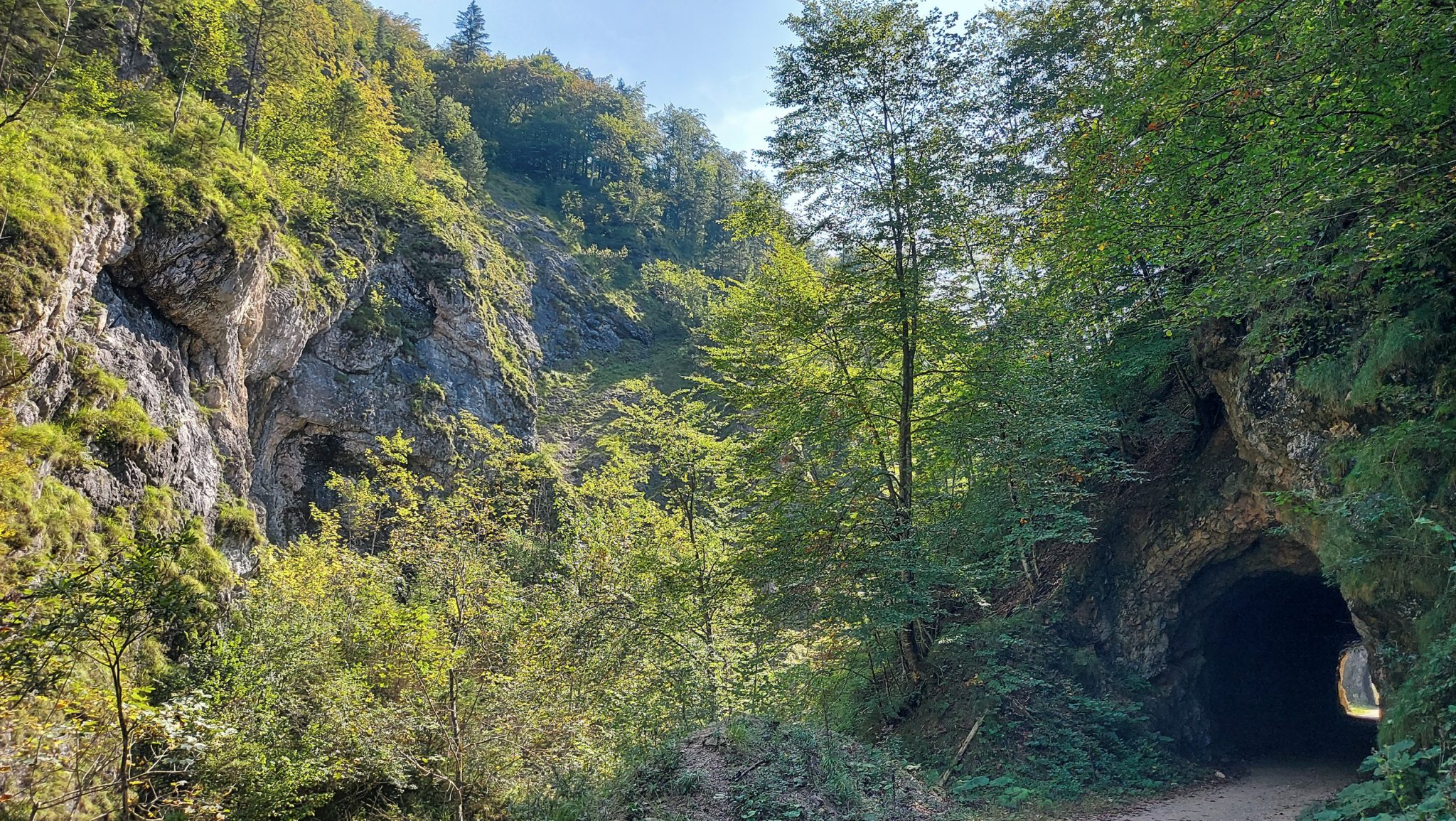 Wandern zur Anlaufalm im Reichraminger Hintergebirge vom Parkplatz Weißwasser durch die Große Schlucht entlang des Baches Weißwasser im Nationalpark Kalkalpen in Oberösterreich, Wanderweg entlang des Baches Weißwasser, Schlucht umgeben von dichtem und sattgrünem Wald, mehrere, teils recht lange Tunnel sind zu durchqueren