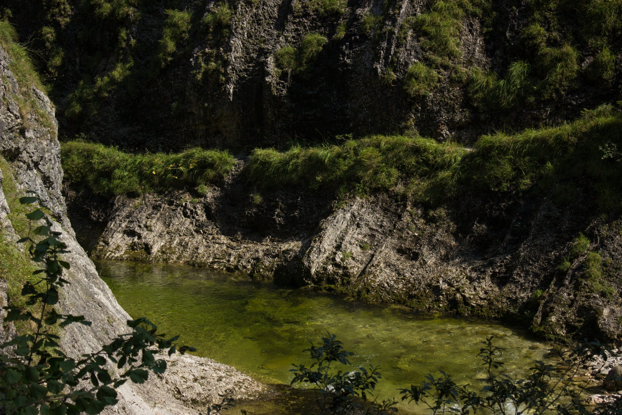 Wandern zur Anlaufalm im Reichraminger Hintergebirge vom Parkplatz Weißwasser durch die Große Schlucht entlang des Baches Weißwasser im Nationalpark Kalkalpen in Oberösterreich, Wanderweg entlang des Baches Weißwasser, Schlucht umgeben von dichtem und sattgrünem Wald, Wasser des Baches ist sehr sauber und klar
