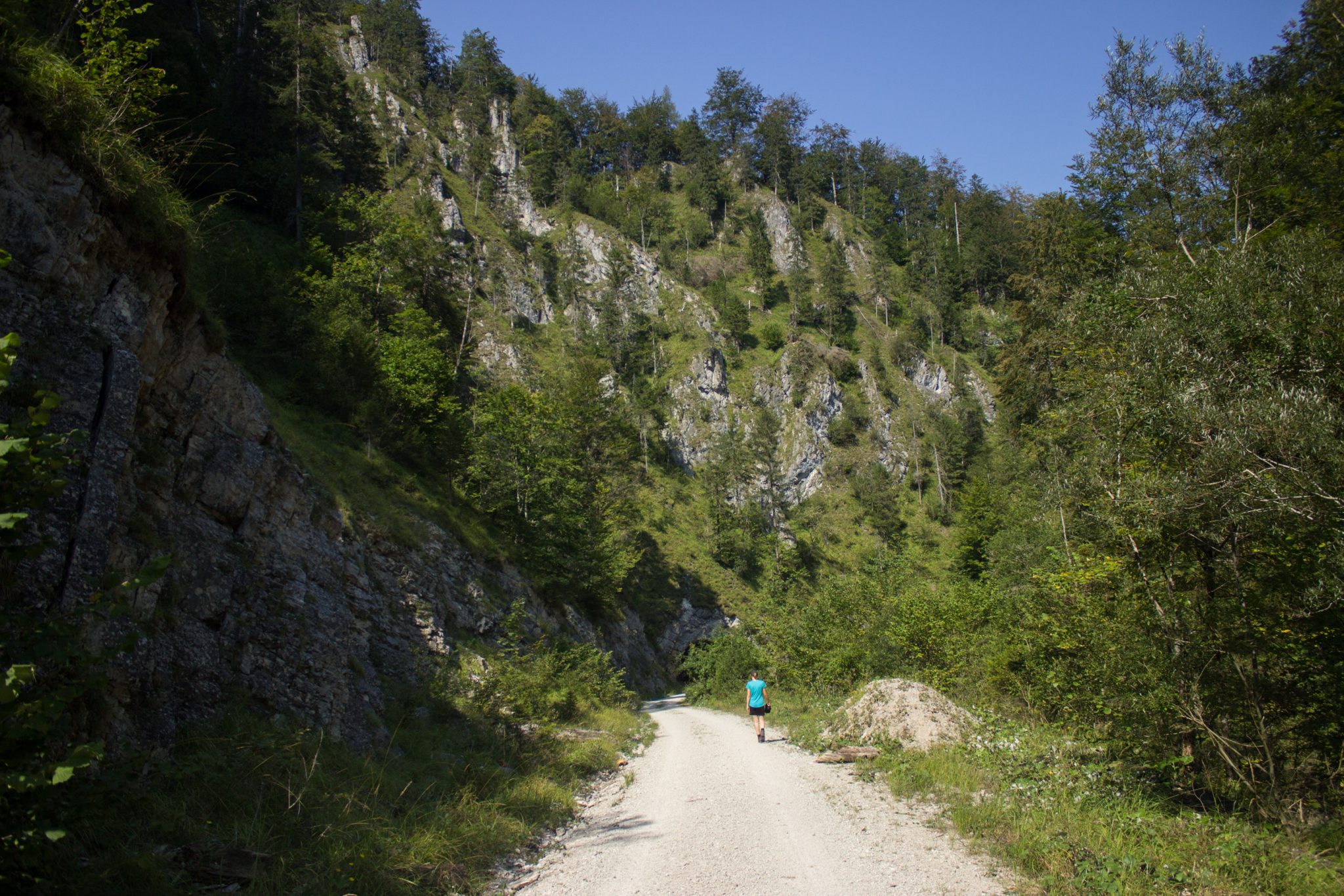 Wandern zur Anlaufalm im Reichraminger Hintergebirge vom Parkplatz Weißwasser durch die Große Schlucht entlang des Baches Weißwasser im Nationalpark Kalkalpen in Oberösterreich, Wanderer unterwegs auf Wanderweg, umgeben von schönem Wald und den Kalkalpen im Hintergebirge Reichramings