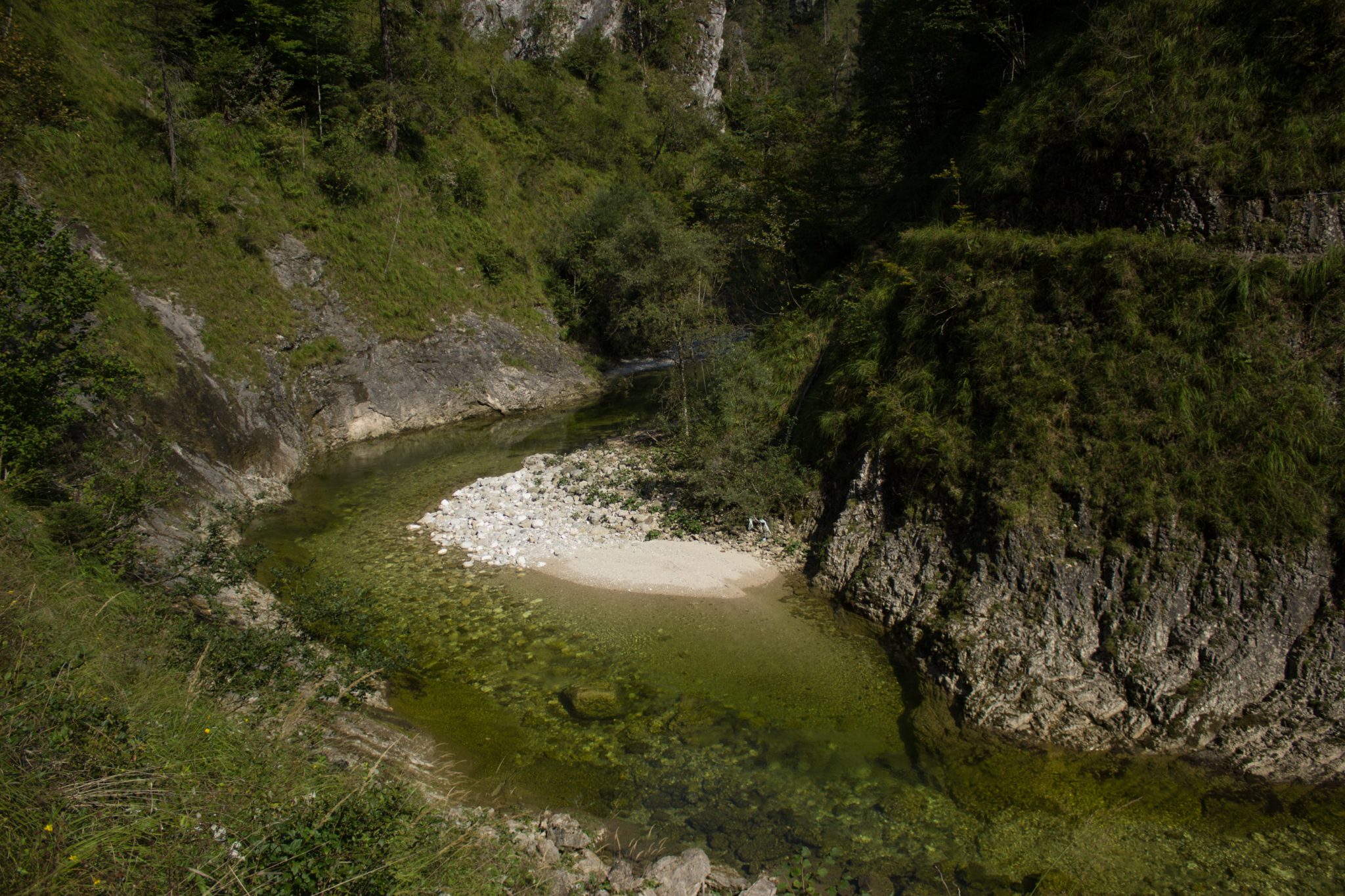 Wandern zur Anlaufalm im Reichraminger Hintergebirge vom Parkplatz Weißwasser durch die Große Schlucht entlang des Baches Weißwasser im Nationalpark Kalkalpen in Oberösterreich, Wanderweg entlang des Baches Weißwasser, Schlucht umgeben von dichtem und sattgrünem Wald, Wasser des Baches ist sehr sauber und klar