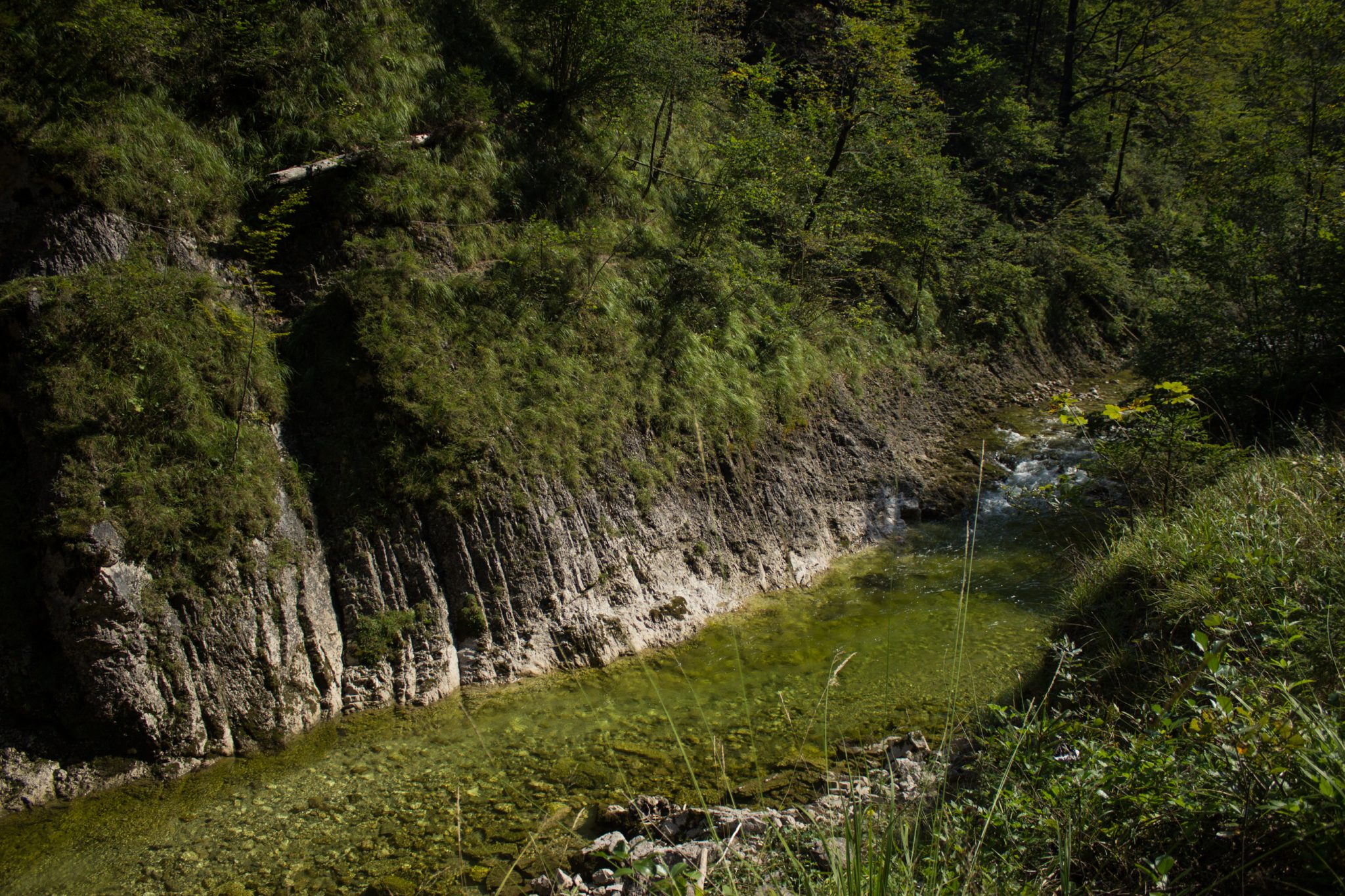 Wandern zur Anlaufalm im Reichraminger Hintergebirge vom Parkplatz Weißwasser durch die Große Schlucht entlang des Baches Weißwasser im Nationalpark Kalkalpen in Oberösterreich, Wanderweg entlang des Baches Weißwasser, Schlucht umgeben von dichtem und sattgrünem Wald, Wasser des Baches ist sehr sauber und klar