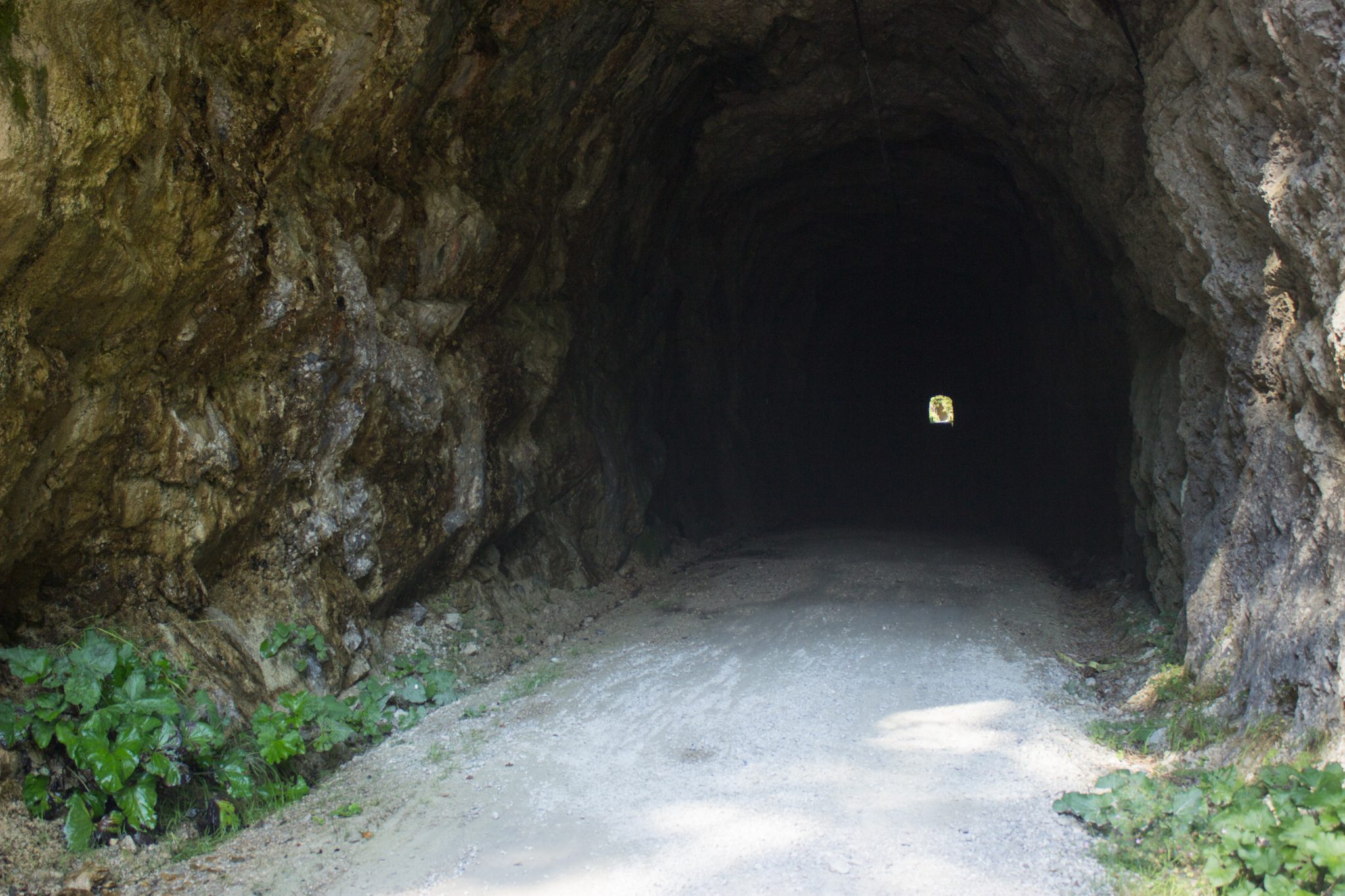 Wandern zur Anlaufalm im Reichraminger Hintergebirge vom Parkplatz Weißwasser durch die Große Schlucht entlang des Baches Weißwasser im Nationalpark Kalkalpen in Oberösterreich, Wanderweg entlang des Baches Weißwasser, mehrere, teils recht lange Tunnel sind zu durchqueren