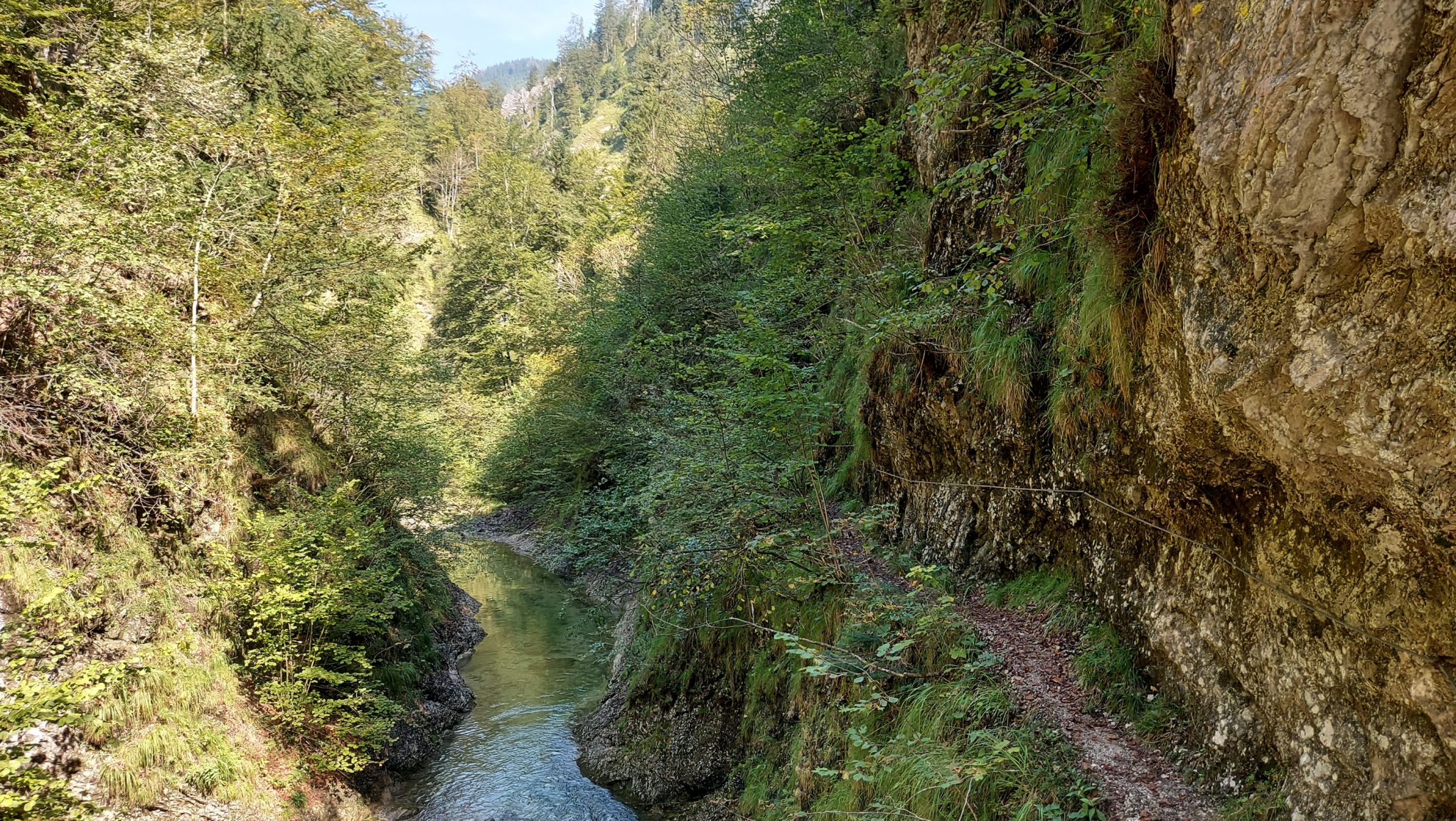 Wandern zur Anlaufalm im Reichraminger Hintergebirge vom Parkplatz Weißwasser durch die Große Schlucht entlang des Baches Weißwasser im Nationalpark Kalkalpen in Oberösterreich, Blick auf den Triftsteig, einem Klettersteig nur für Geübte, Wanderweg führt weiter entlang des Baches, Schlucht umgeben von dichtem und sattgrünem Wald, Wasser des Baches ist sehr sauber und klar