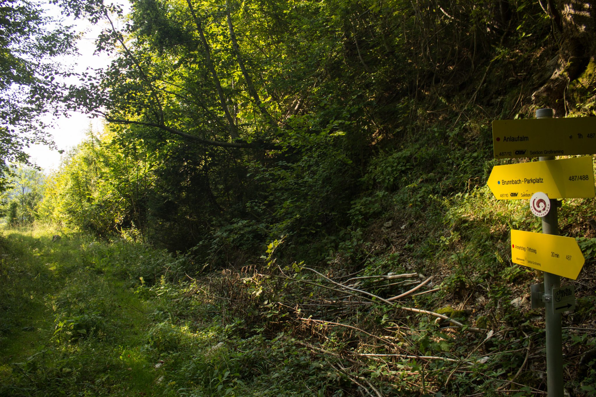 Wandern zur Anlaufalm im Reichraminger Hintergebirge vom Parkplatz Weißwasser durch die Große Schlucht entlang des Baches Weißwasser im Nationalpark Kalkalpen in Oberösterreich, Wegweiser am Wegesrand, Weg ist Teil des Kalkalpenwegs, über den Annerlsteg führt der Weg teils steil hoch zur Anlaufalm durch dichten und schönen Wald