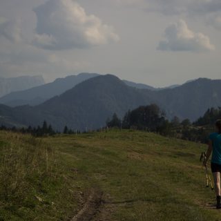 Wandern zur Anlaufalm im Reichraminger Hintergebirge vom Parkplatz Weißwasser durch die Große Schlucht entlang des Baches Weißwasser im Nationalpark Kalkalpen in Oberösterreich, Wanderer unterwegs auf weiter Ebene bei der Anlaufalm, weite Ausblicke auf die schöne Bergwelt in alle Himmelsrichtungen