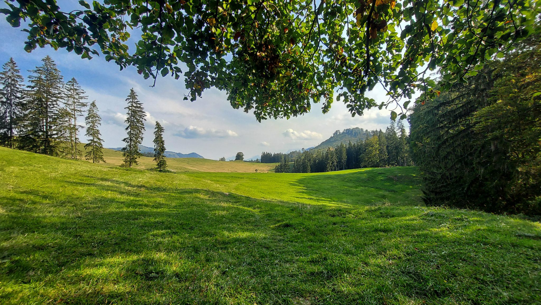 Wandern zur Anlaufalm im Reichraminger Hintergebirge vom Parkplatz Weißwasser durch die Große Schlucht entlang des Baches Weißwasser im Nationalpark Kalkalpen in Oberösterreich, bei der Anlaufalm weite Ebene mit saftig grünen Wiesen und weiten Ausblicken auf die schönen Berge