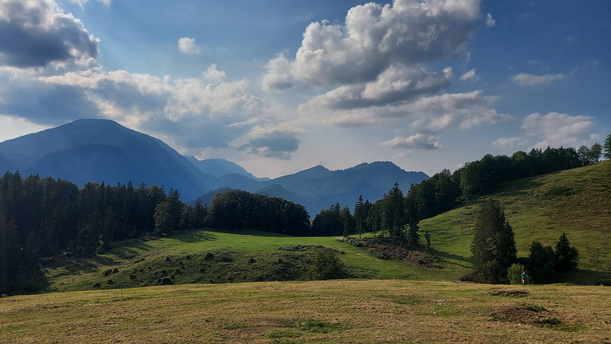 Wandern zur Anlaufalm im Reichraminger Hintergebirge vom Parkplatz Weißwasser durch die Große Schlucht entlang des Baches Weißwasser im Nationalpark Kalkalpen in Oberösterreich, bei der Anlaufalm weite Ebene mit weiten Ausblicken auf die schönen Berge