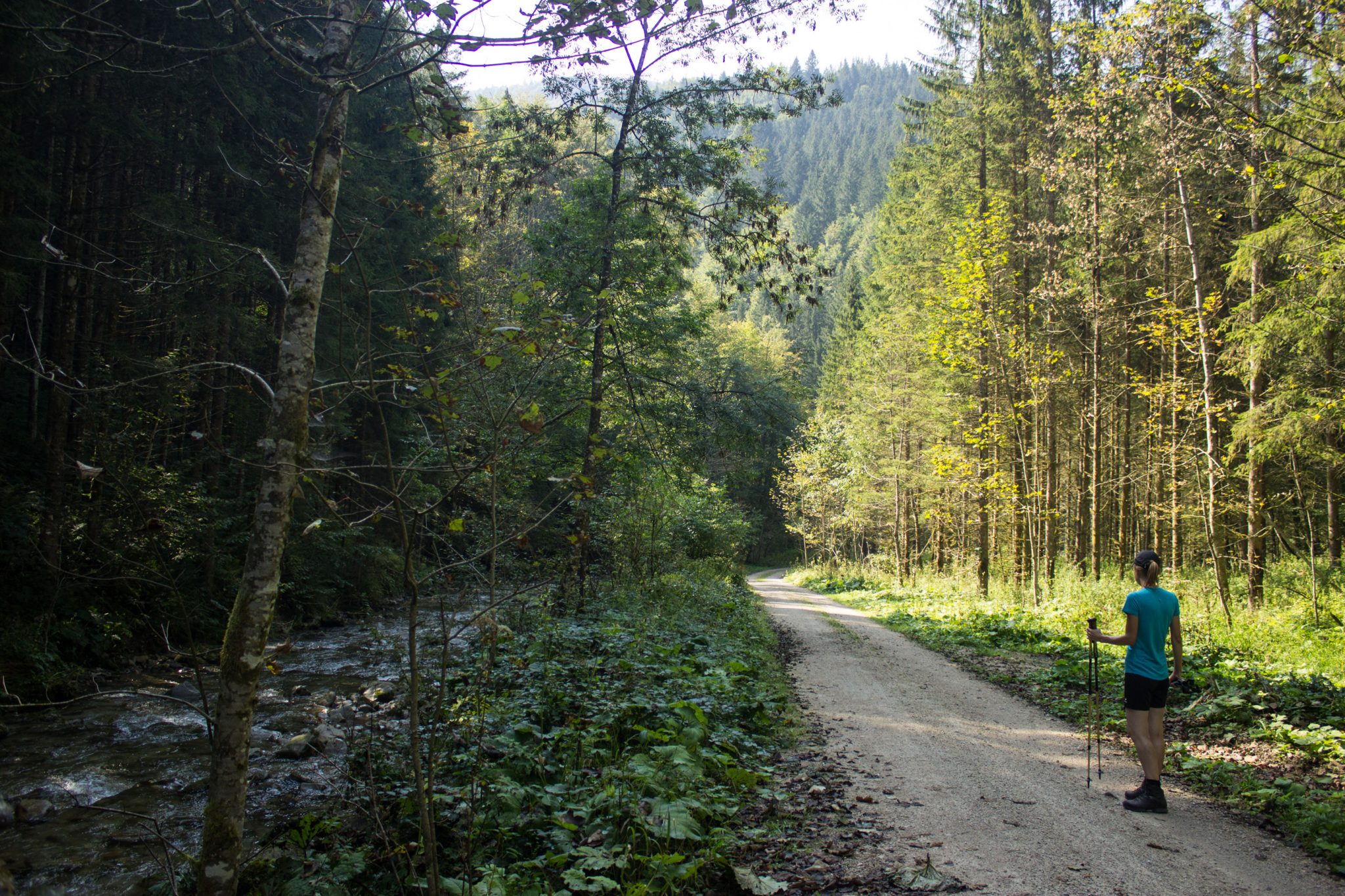 Wandern zur Anlaufalm im Reichraminger Hintergebirge vom Parkplatz Weißwasser durch die Große Schlucht entlang des Baches Weißwasser im Nationalpark Kalkalpen in Oberösterreich, Wanderer unterwegs auf Wanderweg entlang des Baches Weißwasser, umgeben von schönem, schattenspendendem Wald