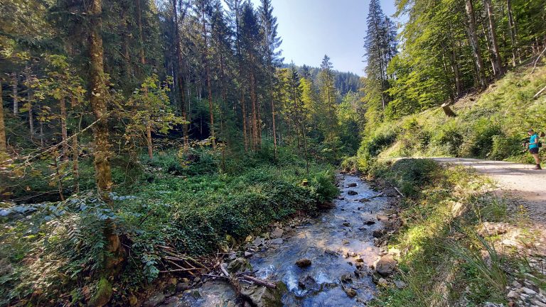 Wandern zur Anlaufalm im Reichraminger Hintergebirge Wandererde