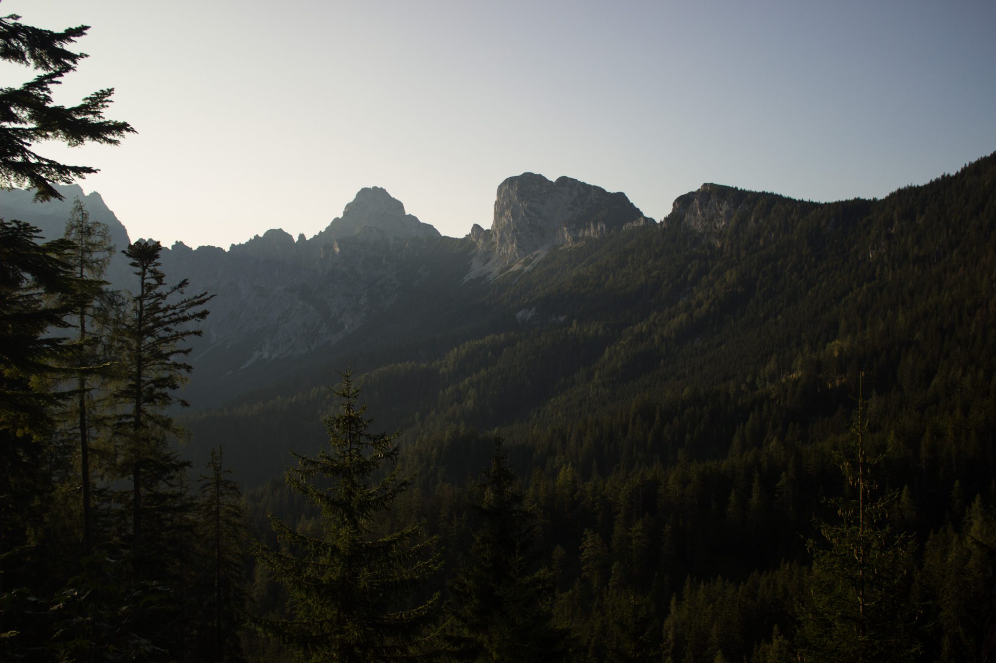 Wandern zur Ennstaler Hütte im Nationalpark Gesäuse im Bundesland Steiermark in Österreich, Wanderweg in den Ennstaler Alpen ab Parkplatz Gstatterboden, Blick auf dichten Wald und die imposanten Berge im Gesäuse, sehr beeindruckende Aussicht auf mehrere Gebirgszüge hintereinander, warmer Tag im Spätsommer