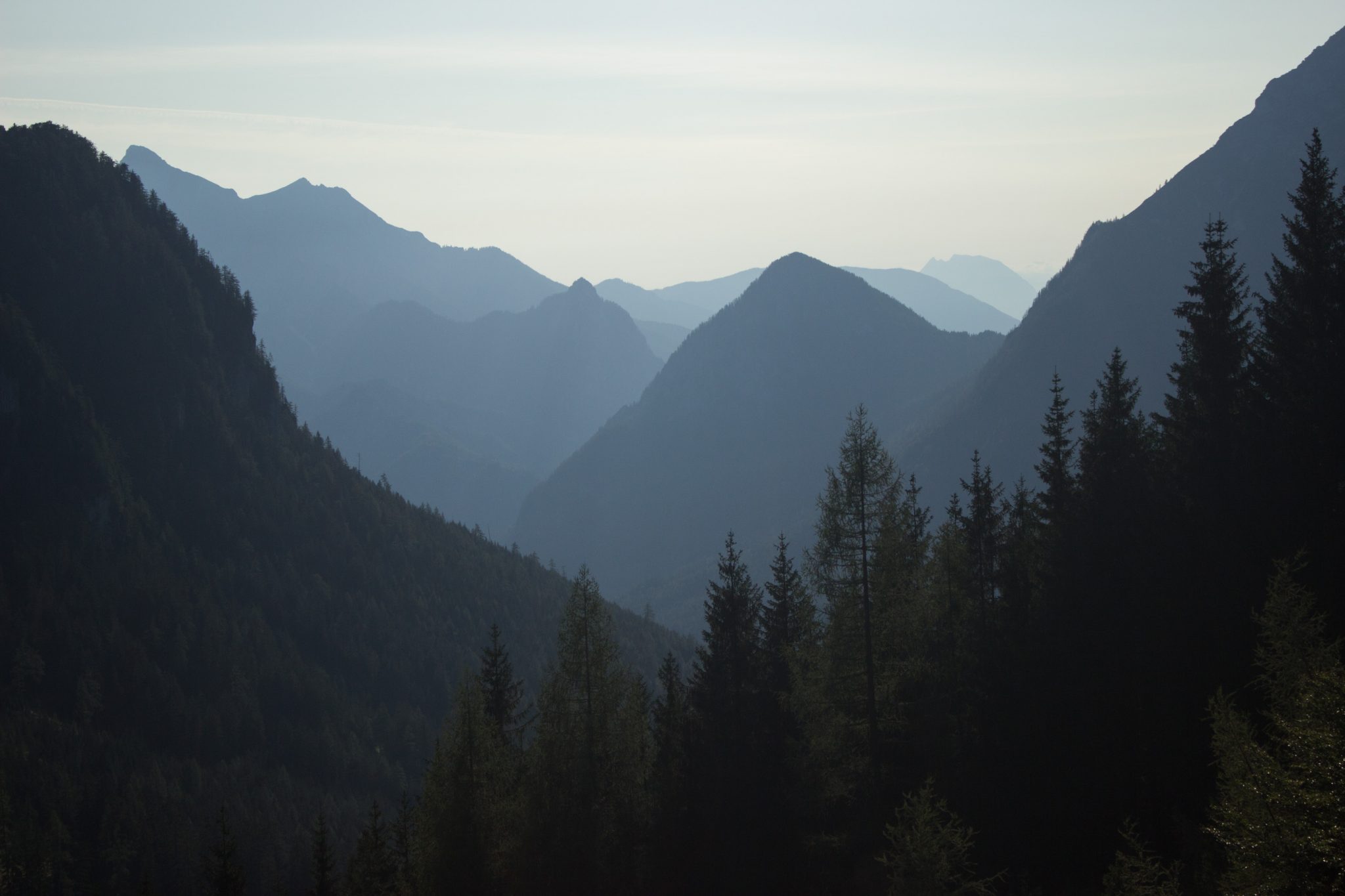 Wandern zur Ennstaler Hütte im Nationalpark Gesäuse im Bundesland Steiermark in Österreich, Wanderweg in den Ennstaler Alpen ab Parkplatz Gstatterboden, Blick auf dichten Wald und die imposanten Berge im Gesäuse, sehr beeindruckende Aussicht auf mehrere Gebirgszüge hintereinander, warmer Tag im Spätsommer