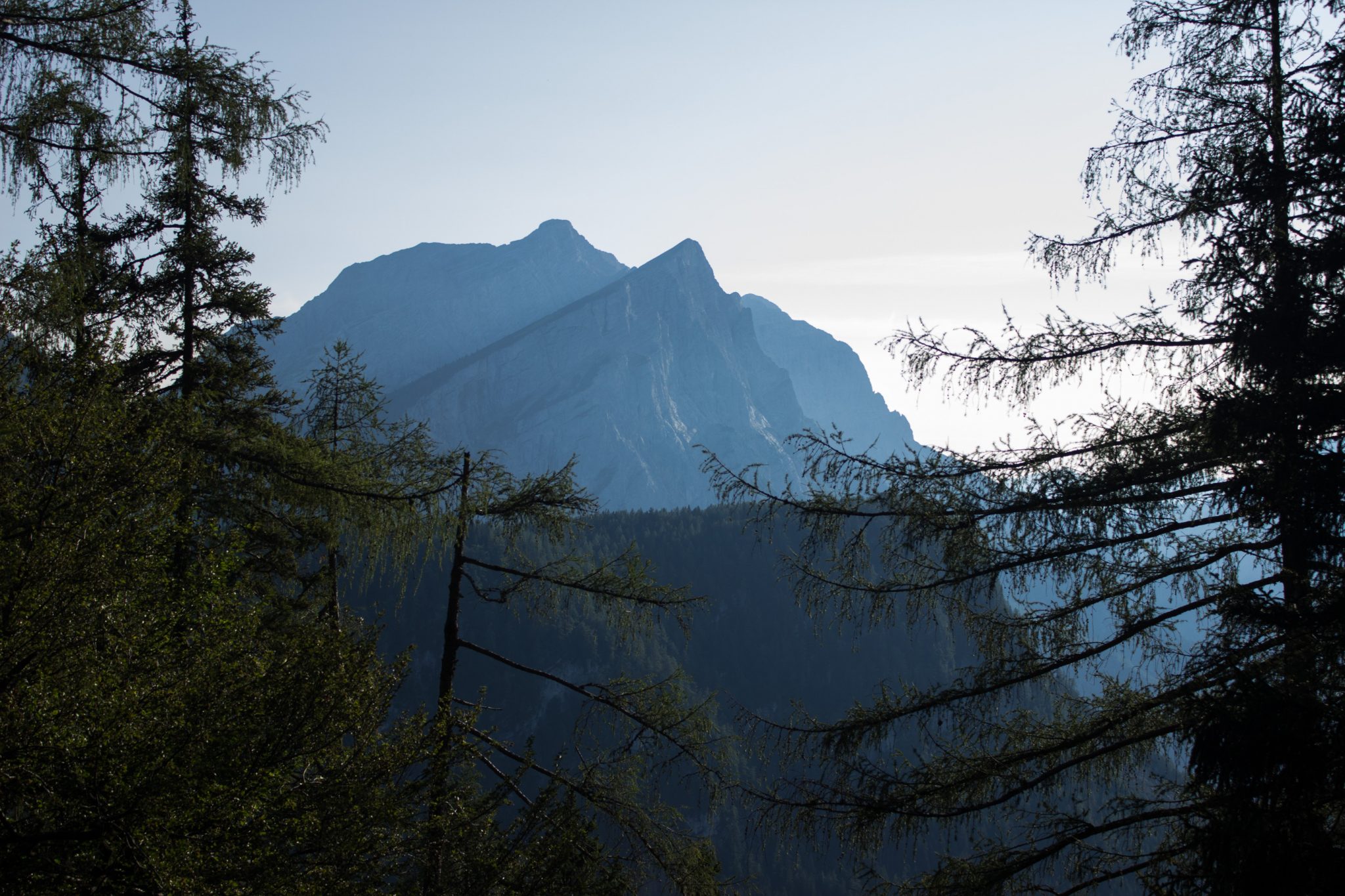 Wandern zur Ennstaler Hütte im Nationalpark Gesäuse im Bundesland Steiermark in Österreich, Wanderweg in den Ennstaler Alpen ab Parkplatz Gstatterboden, Blick auf dichten Wald und die imposanten Berge im Gesäuse, sehr beeindruckende Aussicht auf mehrere Gebirgszüge hintereinander, warmer Tag im Spätsommer