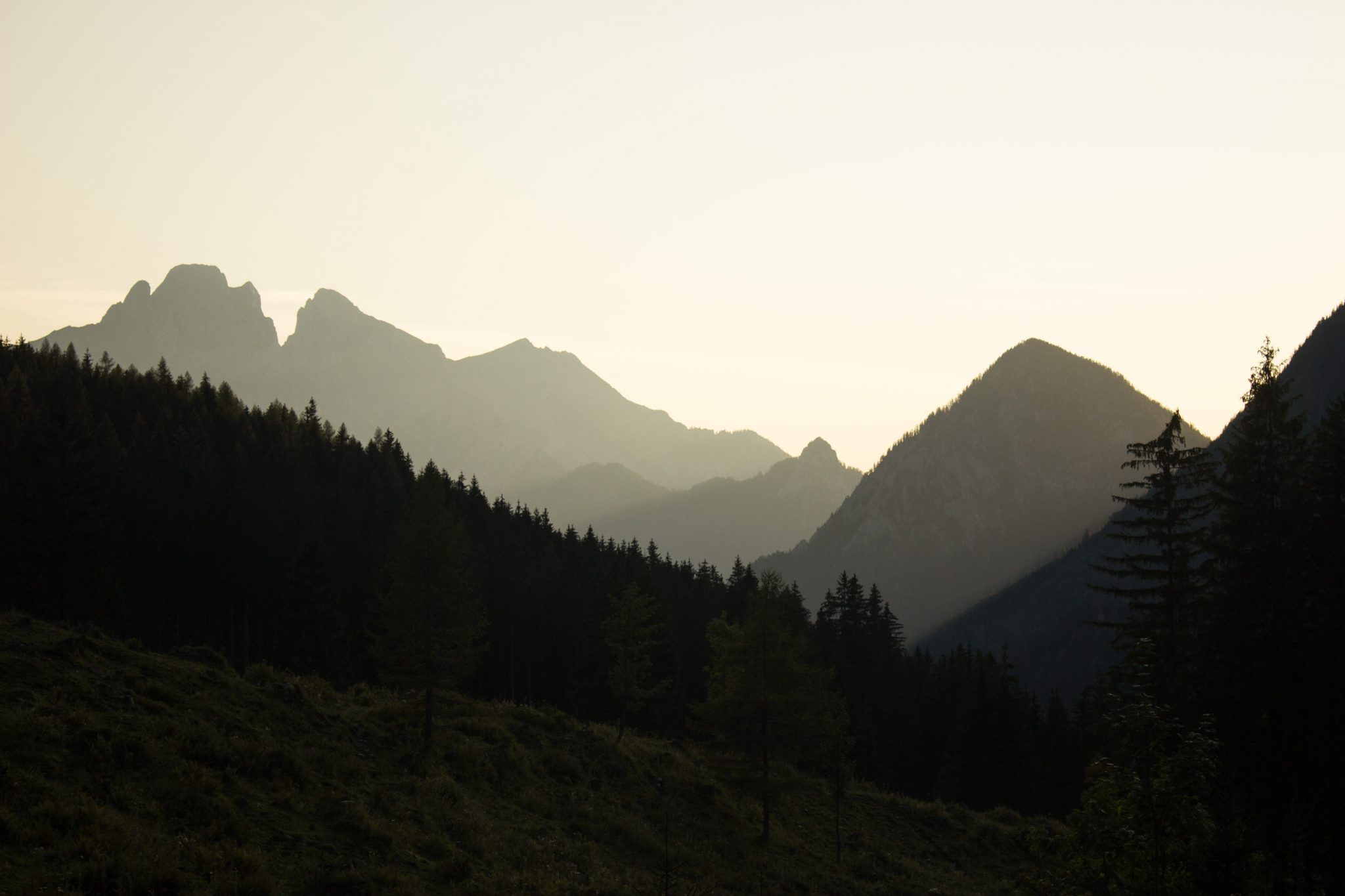 Wandern zur Ennstaler Hütte im Nationalpark Gesäuse im Bundesland Steiermark in Österreich, Wanderweg in den Ennstaler Alpen ab Parkplatz Gstatterboden, Blick vom Wanderweg beim Rückweg über die Hochscheibenalm von der Ennstaler Hütte, umgeben von dichtem Wald, saftig grüne Vegetation und beeindruckende Berge, untergehende Sonne lässt schönes Licht entstehen