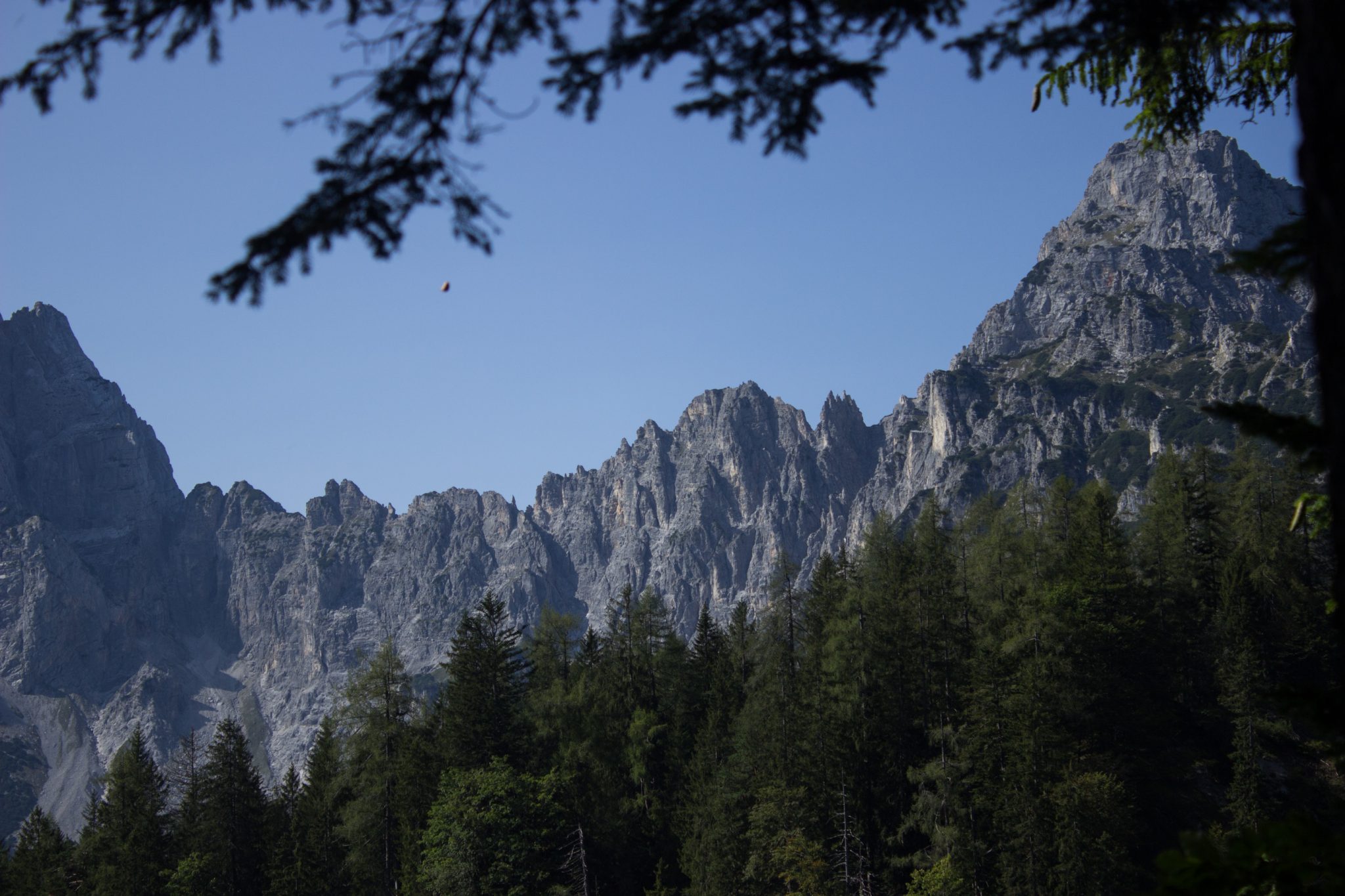 Wandern zur Ennstaler Hütte im Nationalpark Gesäuse im Bundesland Steiermark in Österreich, Wanderweg in den Ennstaler Alpen ab Parkplatz Gstatterboden, Blick auf dichten Wald und die imposanten Berge im Gesäuse, steile Felswände türmen sich auf, warmer Tag im Spätsommer