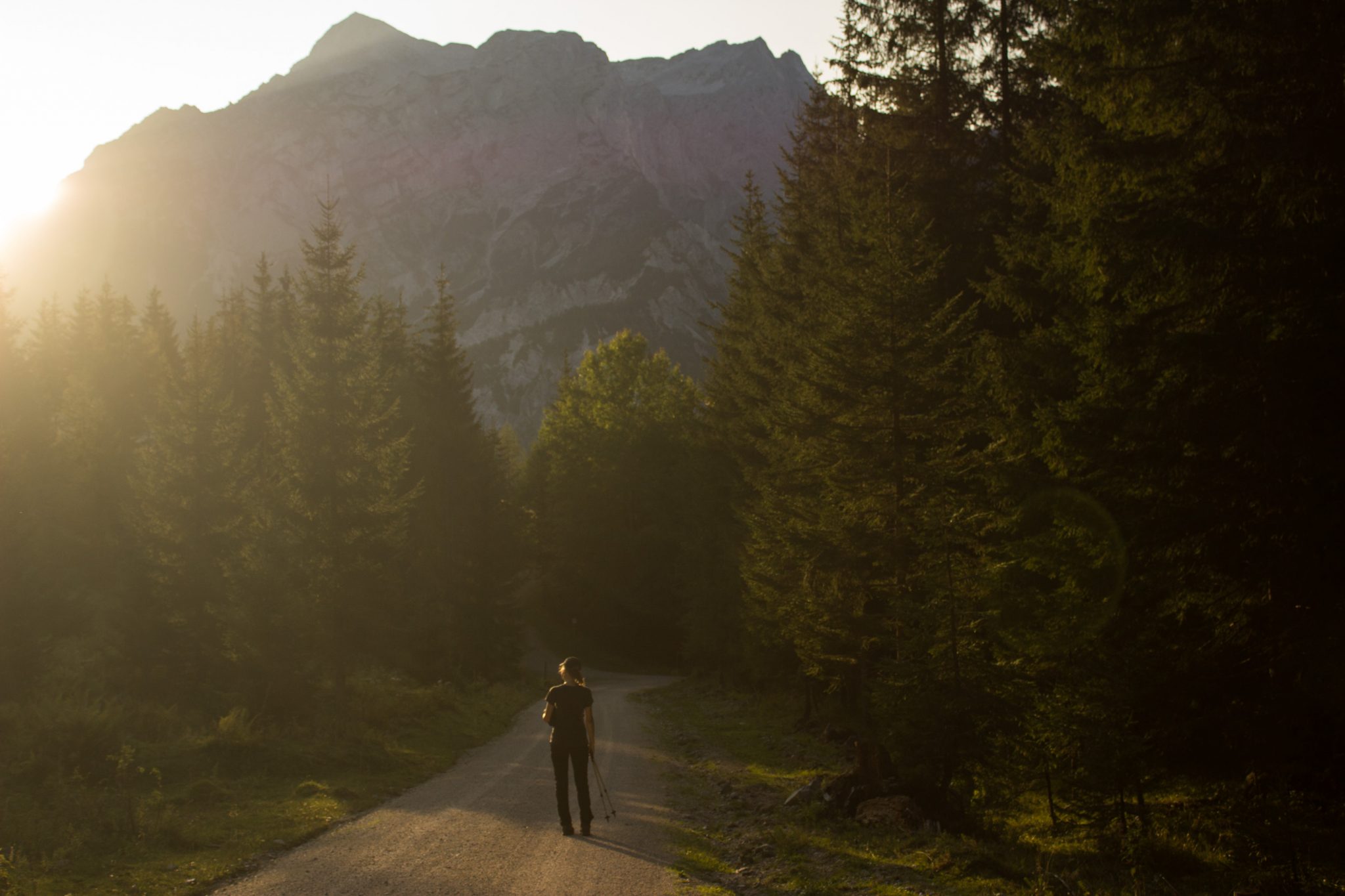 Wandern zur Ennstaler Hütte im Nationalpark Gesäuse im Bundesland Steiermark in Österreich, Wanderweg in den Ennstaler Alpen ab Parkplatz Gstatterboden, Blick auf den Wanderweg beim Rückweg über die Hochscheibenalm von der Ennstaler Hütte, umgeben von dichtem Wald, Wanderer unterwegs auf breiterem Wanderweg, der angenehm abwärts verläuft, saftig grüne Vegetation und beeindruckende Berge, untergehende Sonne lässt schönes Licht entstehen