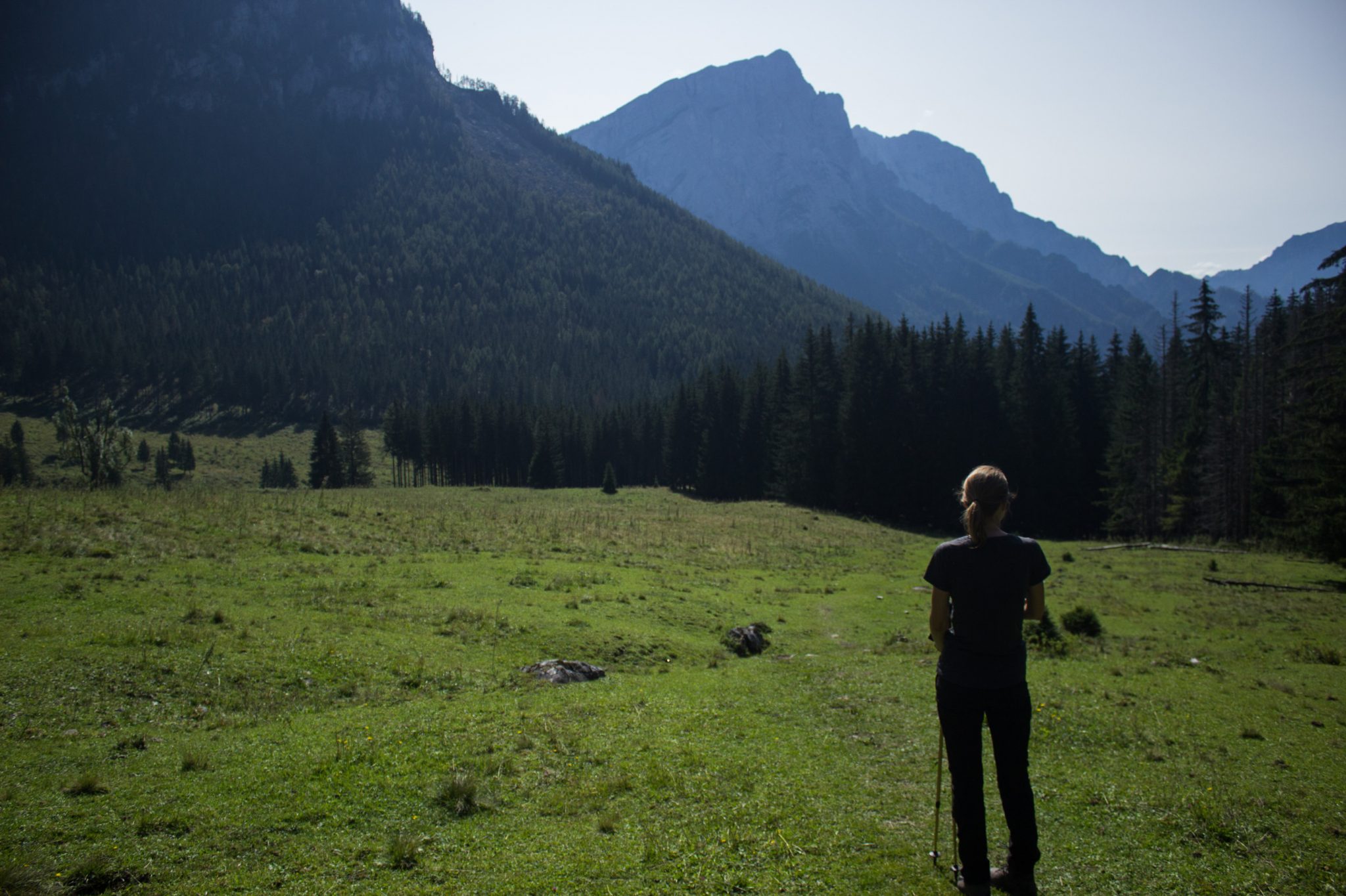 Wandern zur Ennstaler Hütte im Nationalpark Gesäuse im Bundesland Steiermark in Österreich, Wanderweg in den Ennstaler Alpen ab Parkplatz Gstatterboden, Wanderer genießt Aussicht auf saftig grüne Wiesen, dichten Wald und die Berge in der Ferne im Gesäuse