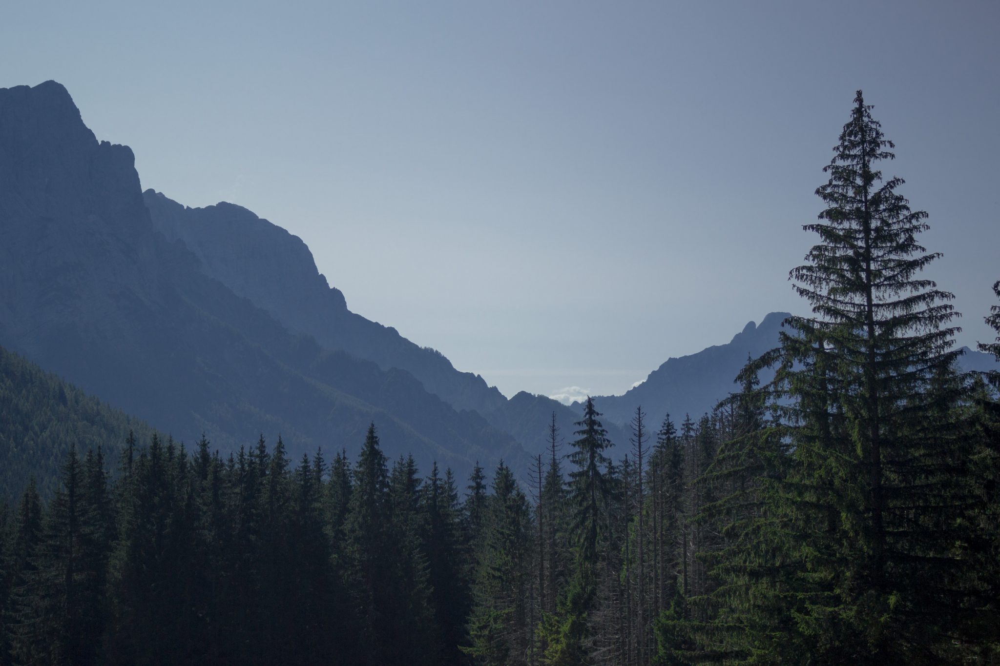 Wandern zur Ennstaler Hütte im Nationalpark Gesäuse im Bundesland Steiermark in Österreich, Wanderweg in den Ennstaler Alpen ab Parkplatz Gstatterboden, Blick auf dichten Wald und die Berge im Gesäuse