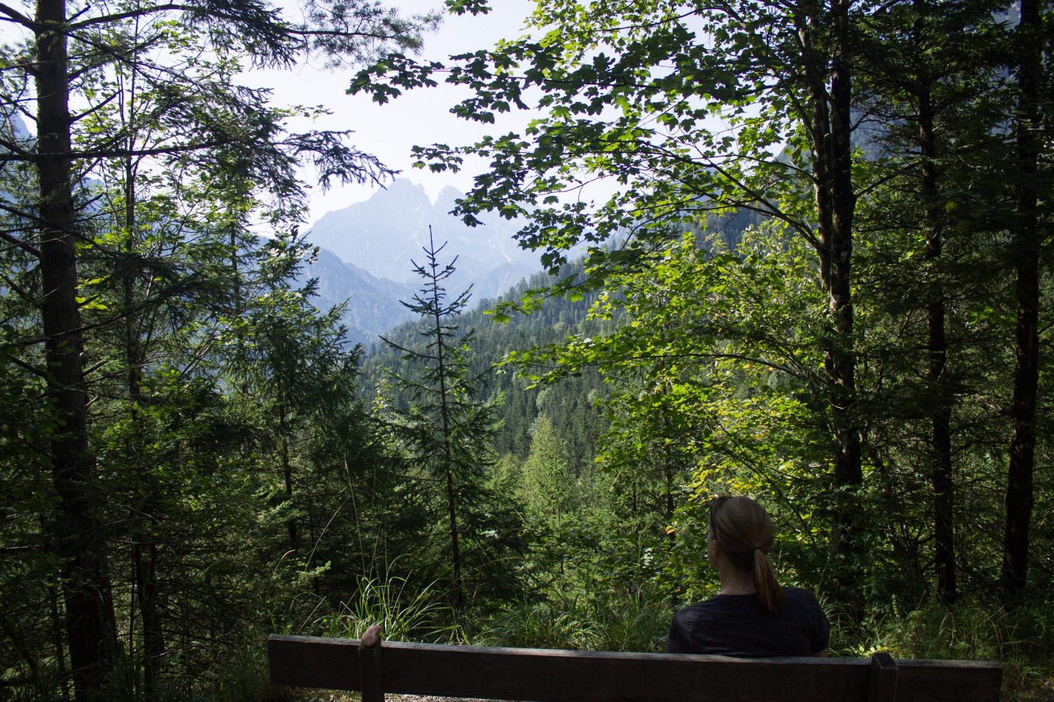 Wandern zur Ennstaler Hütte im Nationalpark Gesäuse im Bundesland Steiermark in Österreich, Wanderweg in den Ennstaler Alpen ab Parkplatz Gstatterboden, Wanderer genießt Aussicht auf die Berge im Nationalpark Gesäuse, Pause auf einer Bank umgeben von dichtem Wald mit kühlendem Schatten der Bäume, saftig grüne Vegetation