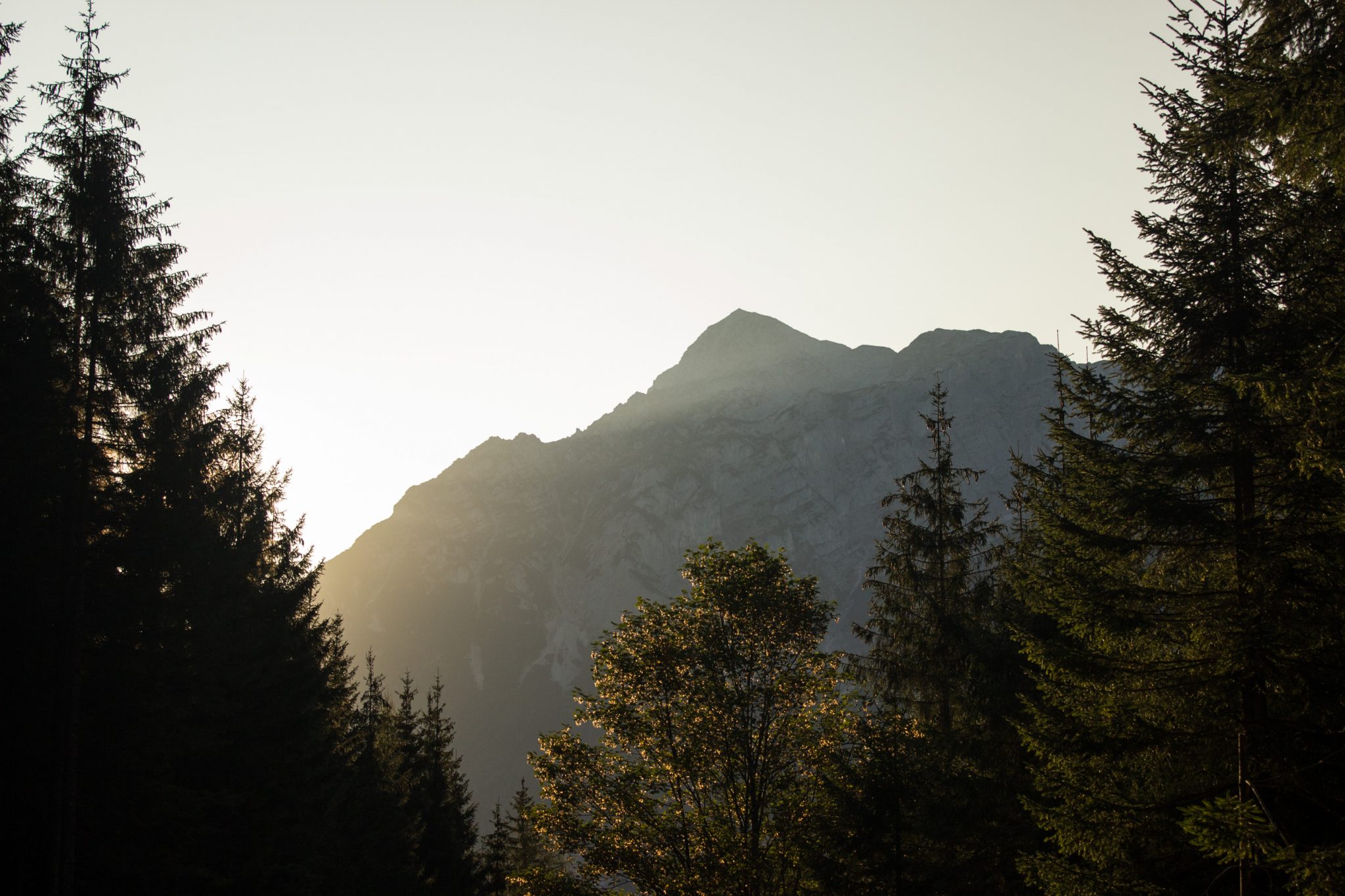 Wandern zur Ennstaler Hütte im Nationalpark Gesäuse im Bundesland Steiermark in Österreich, Wanderweg in den Ennstaler Alpen ab Parkplatz Gstatterboden, Blick auf dichten Wald und die imposanten Berge im Gesäuse, sehr beeindruckende Aussicht auf die Berge im Nationalpark Gesäuse, warmer Tag im Spätsommer