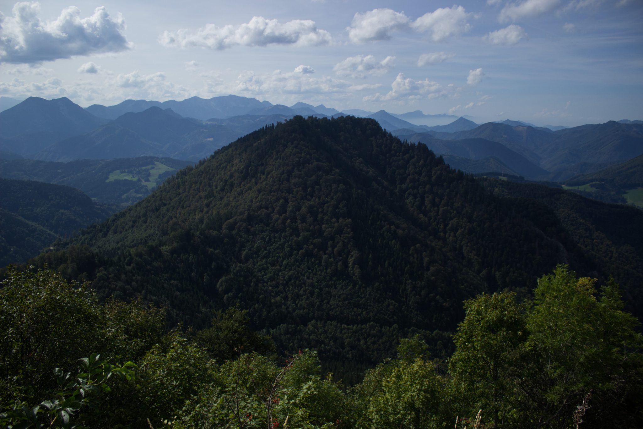 Wanderung zur Ennser Hütte und auf den Almkogel vom Parkplatz Bamacher bei  Großraming in Oberösterreich, Nationalpark-Region Ennstal, Wanderweg bietet grandiose und weite Aussichten auf die Oberösterreichischen Voralpen, von dichten Wäldern bewachsene Berghänge