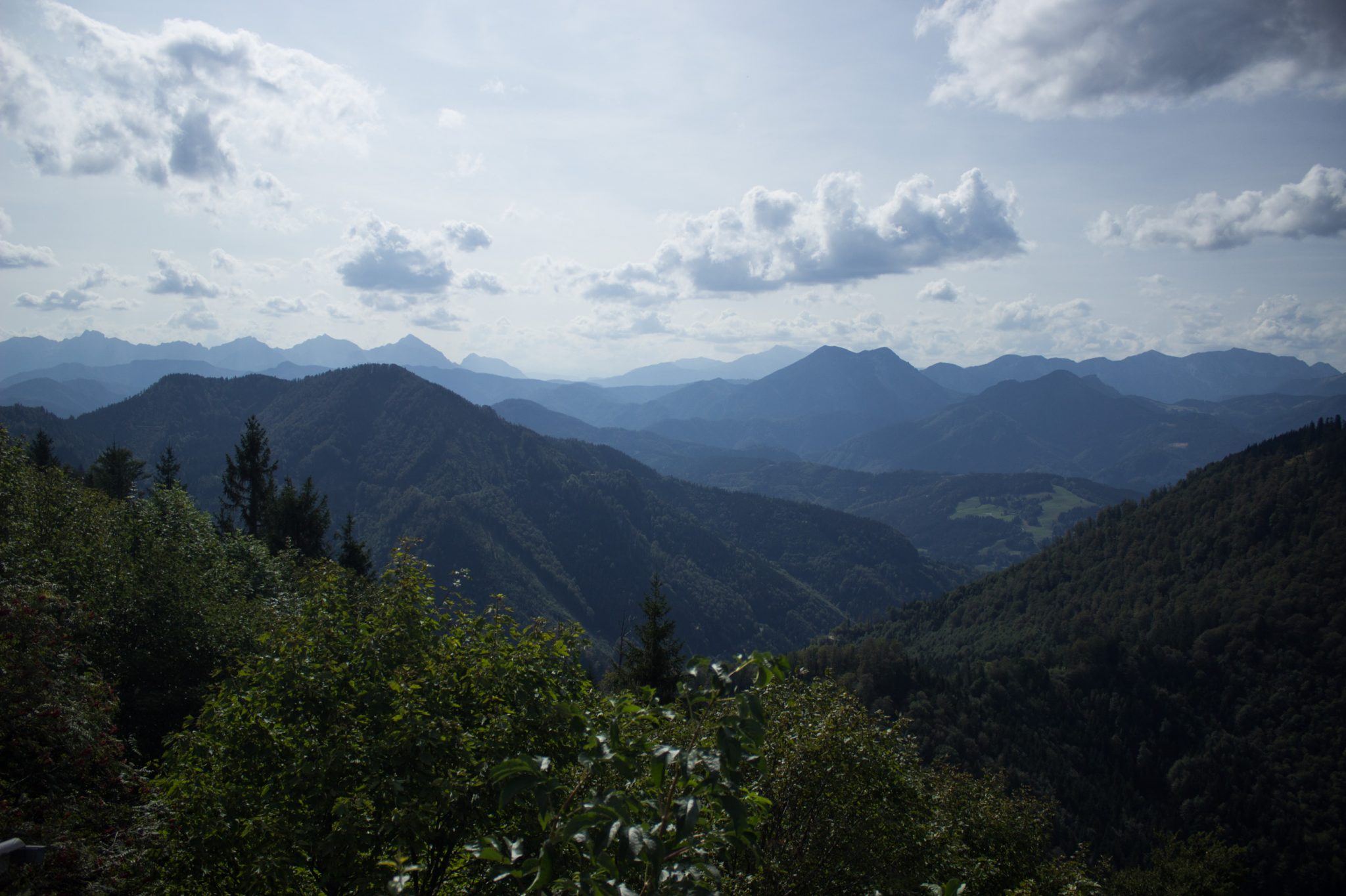 Wanderung zur Ennser Hütte und auf den Almkogel vom Parkplatz Bamacher bei  Großraming in Oberösterreich, Nationalpark-Region Ennstal, Wanderweg bietet grandiose und weite Aussichten auf die Oberösterreichischen Voralpen, von dichten Wäldern bewachsene Berghänge