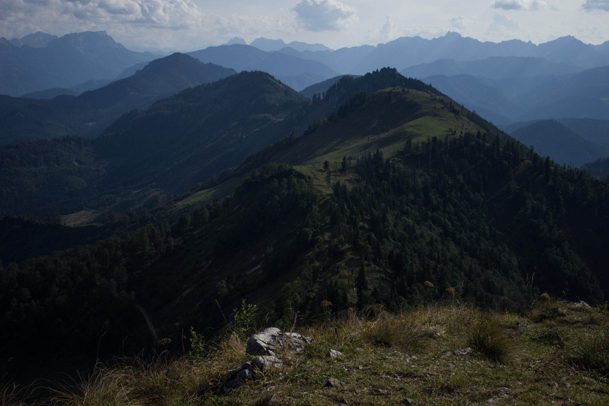 Wanderung zur Ennser Hütte und auf den Almkogel vom Parkplatz Bamacher bei  Großraming in Oberösterreich, Nationalpark-Region Ennstal, beim Almkogel gibt es eine weite und grandiose Aussicht auf die umliegende Bergwelt der Oberösterreichischen Voralpen, herrlicher Wandertag im Sommer