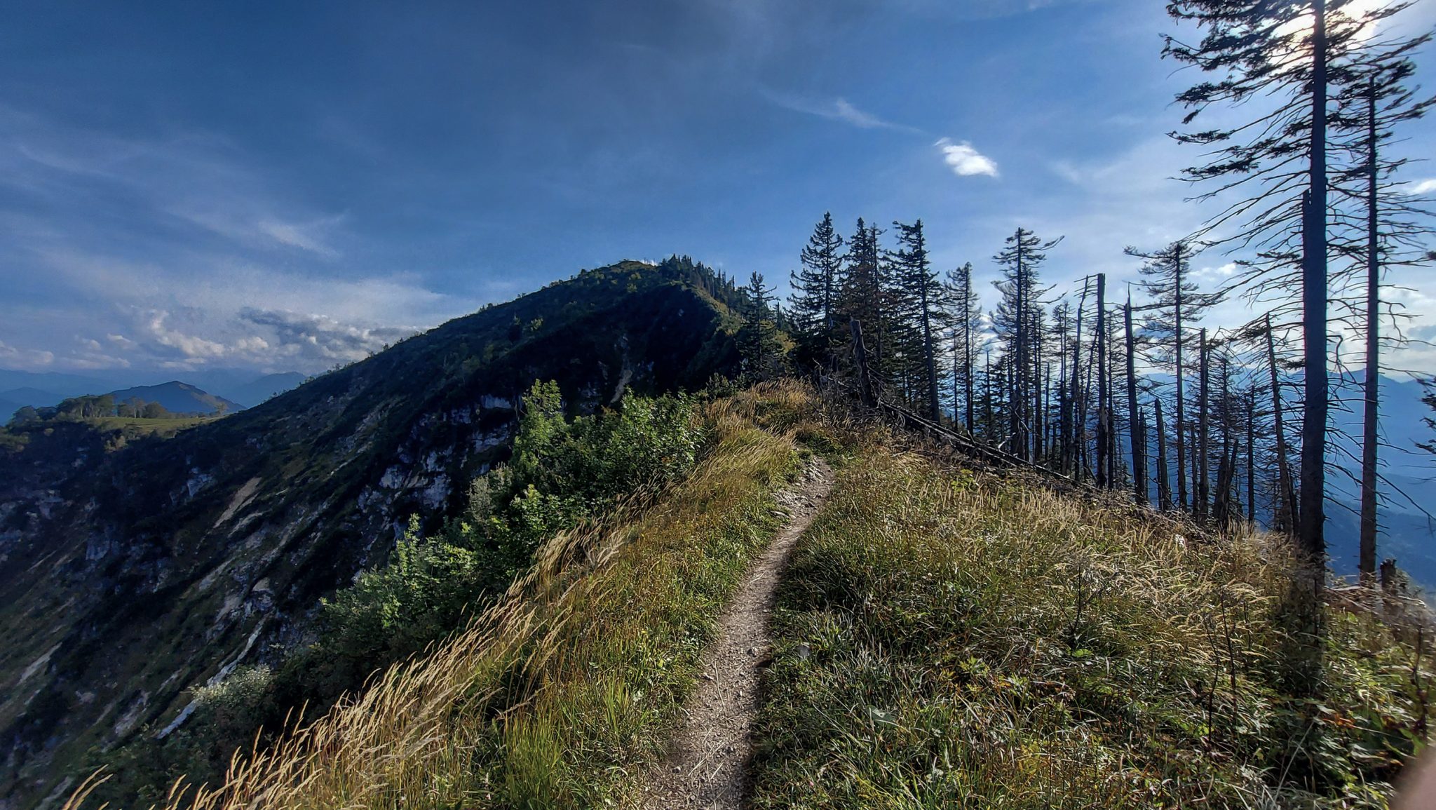 Wanderung zur Ennser Hütte und auf den Almkogel vom Parkplatz Bamacher bei  Großraming in Oberösterreich, Nationalpark-Region Ennstal, nach Erreichen der Ennser Hütte geht es weiter auf den Almkogel, sehr schmaler Wanderpfad führt zunächst am Berghang entlang und dann auf dem Bergkamm weiter bis zum Gipfelkreuz des Almkogels, weite Aussicht auf die Bergwelt der Oberösterreichischen Voralpen