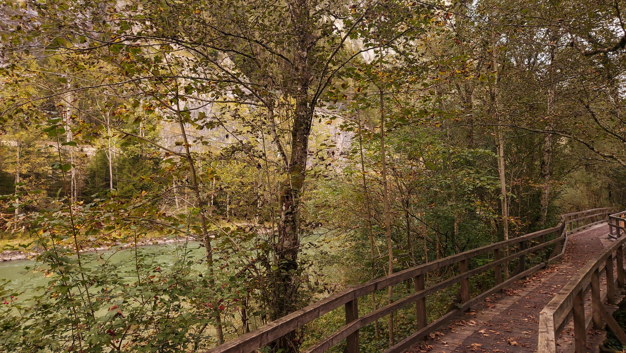 Wanderung zur Haindlkarhütte und Gsengscharte im Nationalpark Gesäuse im Bundesland Steiermark in Österreich, Wanderweg in den Ennstaler Alpen ab Parkplatz Haindlkarhütte vom Gstatterboden, Blick auf den Fluss Enns in der Nähe vom Gstatterboden nach der Wanderung zur Haindlkarhütte mit Aussicht auf die schönen Wälder