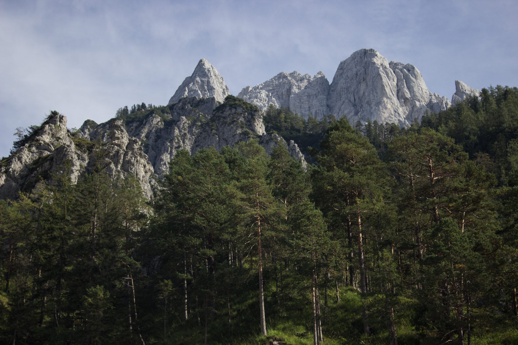 Wanderung zur Haindlkarhütte und Gsengscharte im Nationalpark Gesäuse im Bundesland Steiermark in Österreich, Wanderweg in den Ennstaler Alpen ab Parkplatz Haindlkarhütte vom Gstatterboden, Blick auf die beeindruckende Bergwelt im Gesäuse, nach Erreichen der Gsengscharte geht es zum Teil sehr steil runter während des Abstiegs ins Tal, dichte Vegetation mit steil aufragenden Bergen im Hintergrund