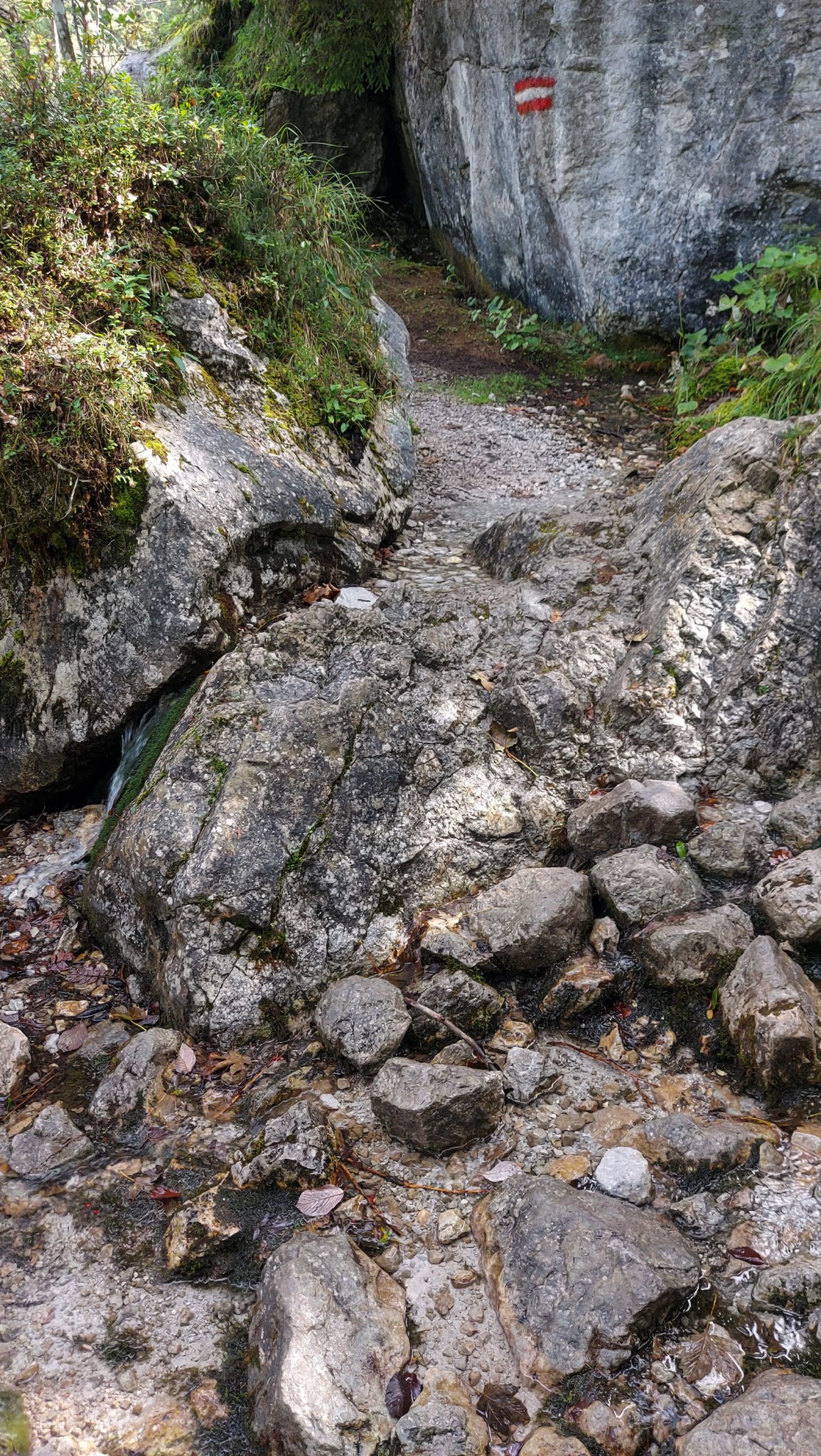 Wanderung zur Haindlkarhütte und Gsengscharte im Nationalpark Gesäuse im Bundesland Steiermark in Österreich, Wanderweg in den Ennstaler Alpen ab Parkplatz Haindlkarhütte vom Gstatterboden, Blick auf den Wanderweg zur Haindlkarhütte und Gsengscharte, Markierung des Weges an einem Stein
