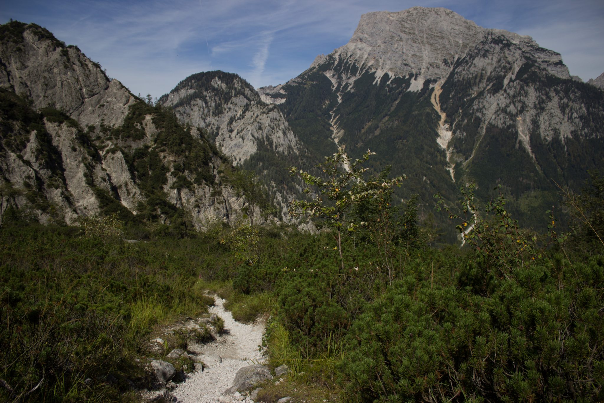 Wanderung zur Haindlkarhütte und Gsengscharte im Nationalpark Gesäuse im Bundesland Steiermark in Österreich, Wanderweg in den Ennstaler Alpen ab Parkplatz Haindlkarhütte vom Gstatterboden, Blick auf den Wanderweg zur Haindlkarhütte umgeben von dichter Vegetation im Spätsommer, Aussicht auf die beeindruckenden Berge im Gesäuse