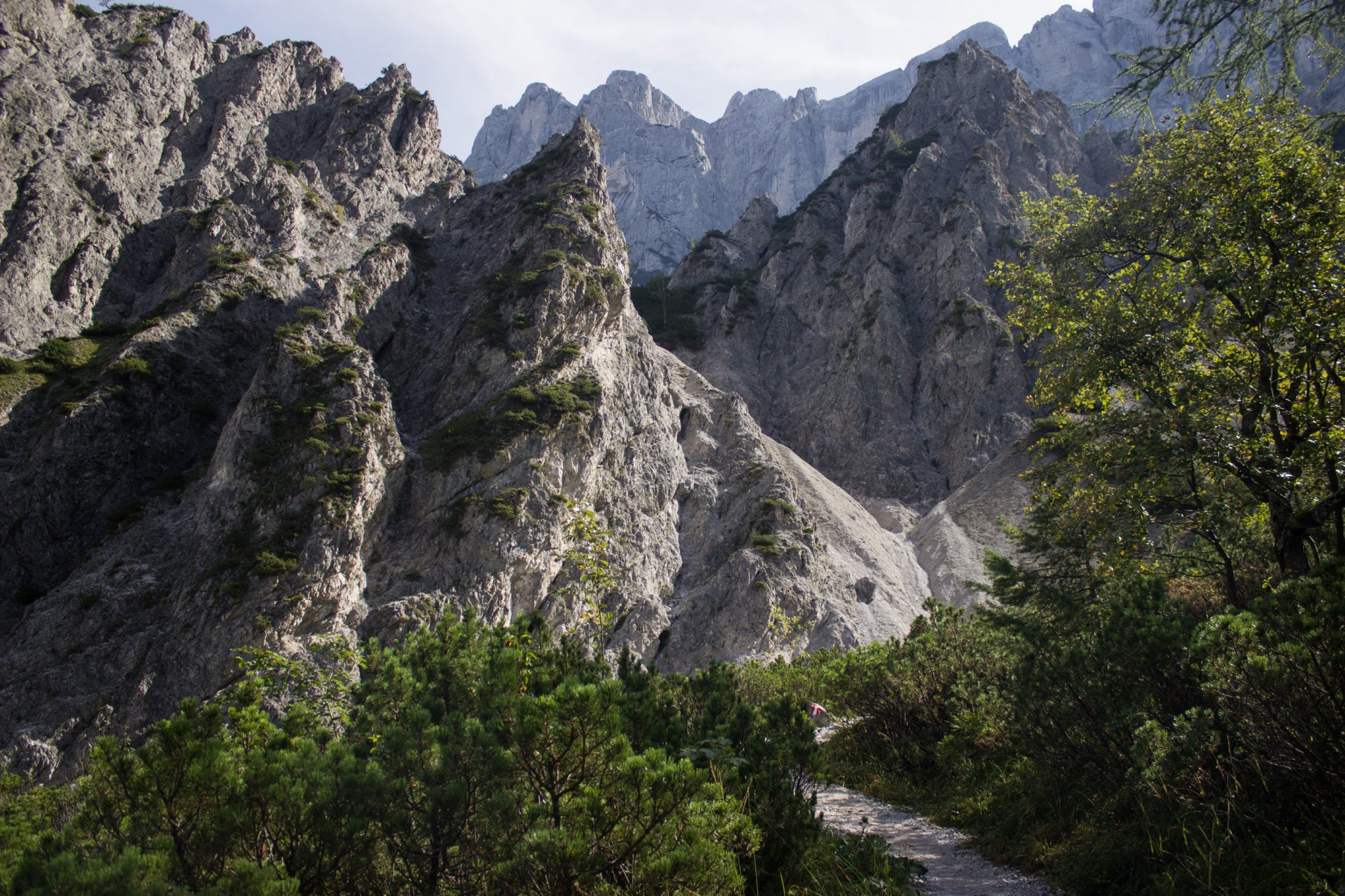 Wanderung zur Haindlkarhütte und Gsengscharte im Nationalpark Gesäuse im Bundesland Steiermark in Österreich, Wanderweg in den Ennstaler Alpen ab Parkplatz Haindlkarhütte vom Gstatterboden, Blick auf den Wanderweg zur Haindlkarhütte umgeben von dichter Vegetation im Spätsommer, Aussicht auf die Berge im Gesäuse