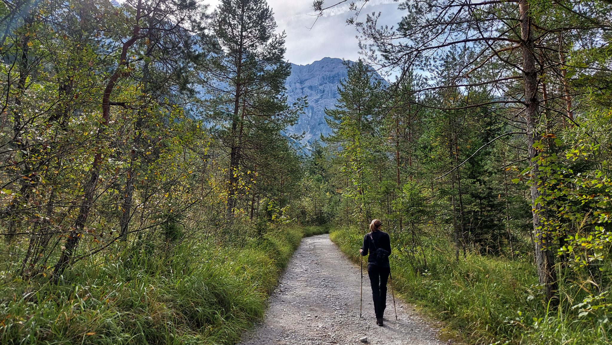 Wanderung zur Haindlkarhütte und Gsengscharte im Nationalpark Gesäuse im Bundesland Steiermark in Österreich, Wanderweg in den Ennstaler Alpen ab Parkplatz Haindlkarhütte vom Gstatterboden, Wanderer auf dem Weg zur Haindlkarhütte umgeben von dichtem Wald im Spätsommer, Aussicht auf die Berge im Gesäuse