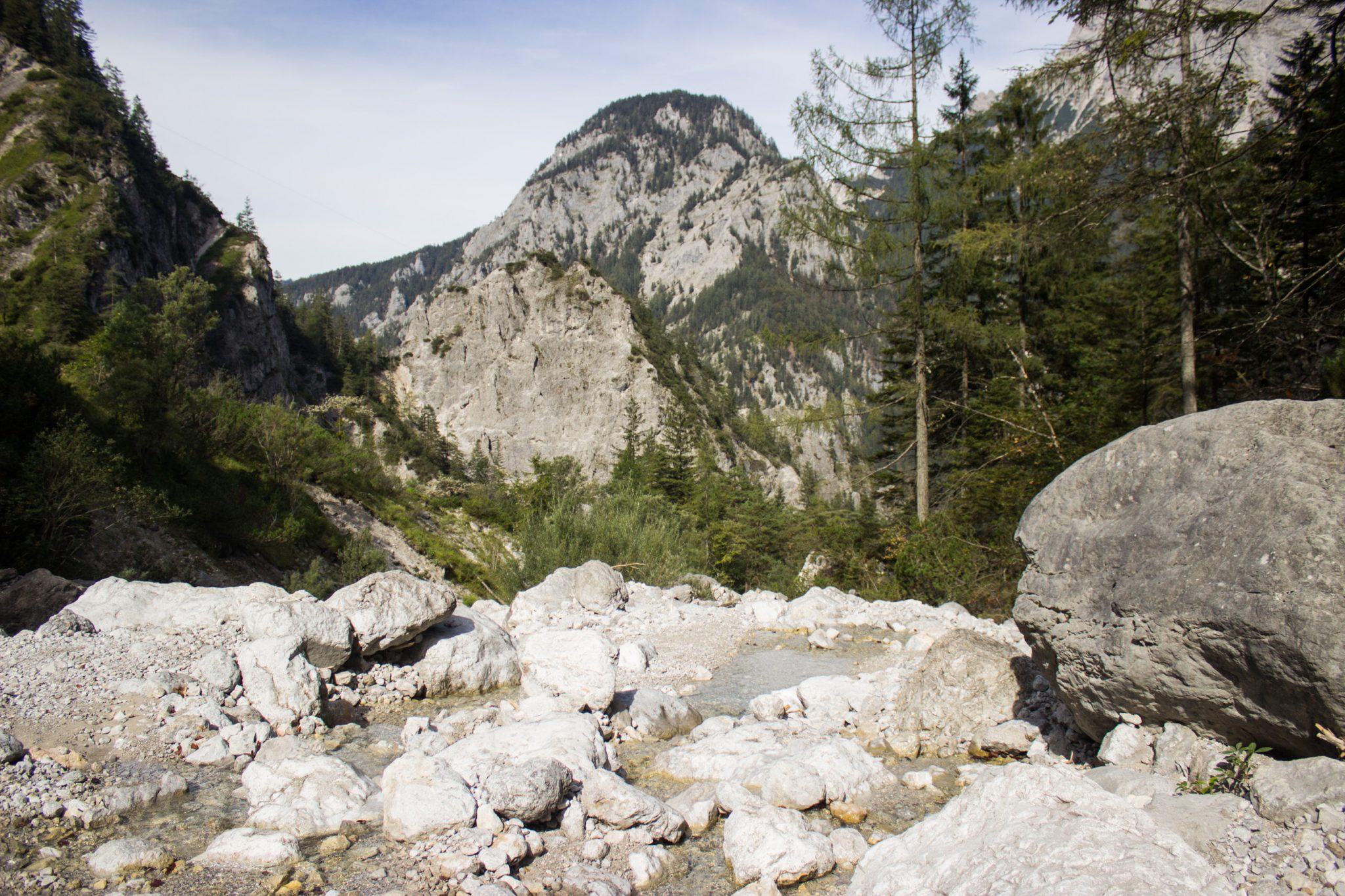 Wanderung zur Haindlkarhütte und Gsengscharte im Nationalpark Gesäuse im Bundesland Steiermark in Österreich, Wanderweg in den Ennstaler Alpen ab Parkplatz Haindlkarhütte vom Gstatterboden, Blick auf Geröllfeld mit großen Steinen, umgeben von dichter Vegetation und Bergen im Gesäuse