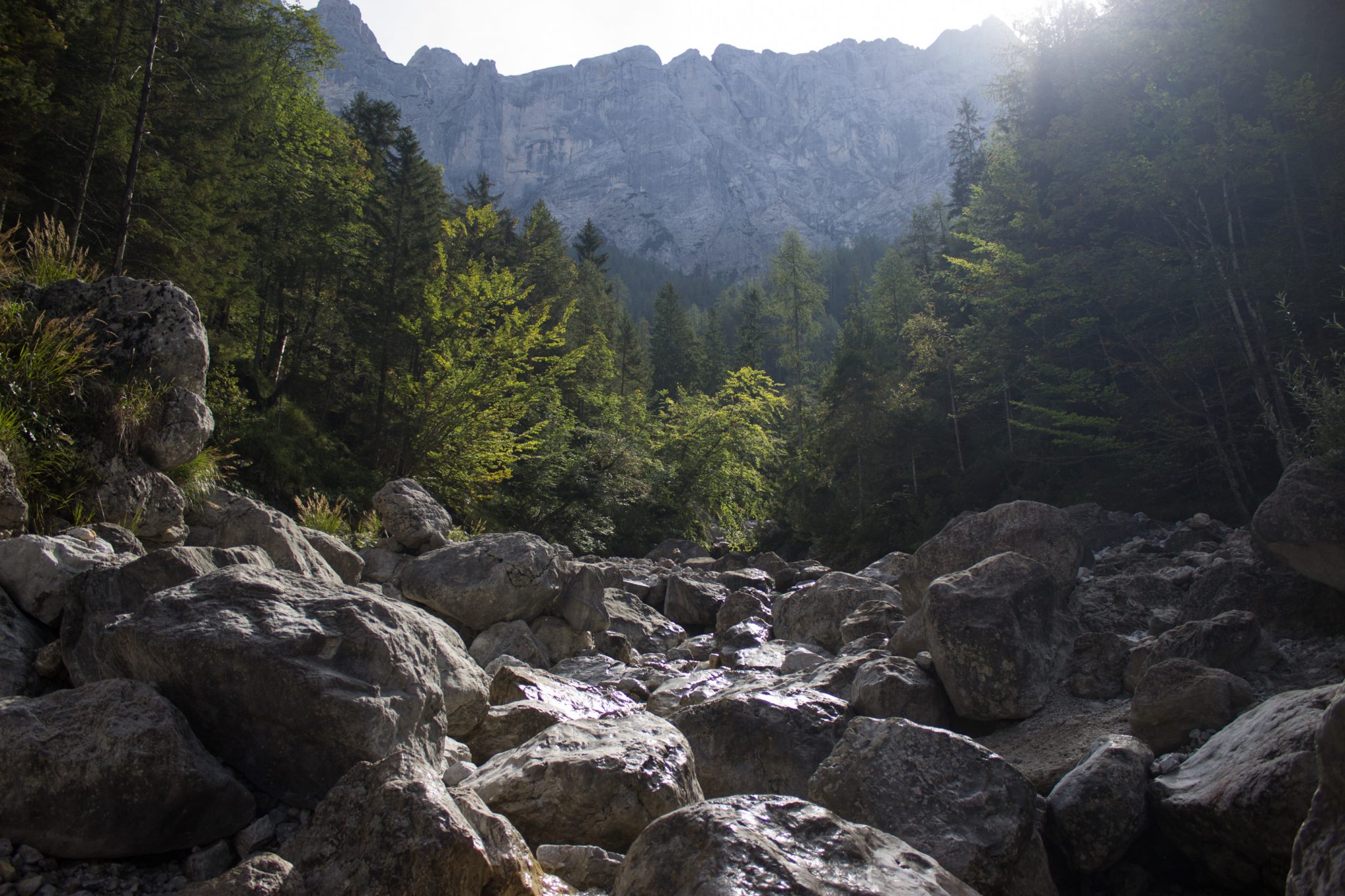 Wanderung zur Haindlkarhütte und Gsengscharte im Nationalpark Gesäuse im Bundesland Steiermark in Österreich, Wanderweg in den Ennstaler Alpen ab Parkplatz Haindlkarhütte vom Gstatterboden, Blick auf Geröllfeld mit großen Steinen, umgeben von dichter Vegetation und Bergen im Gesäuse